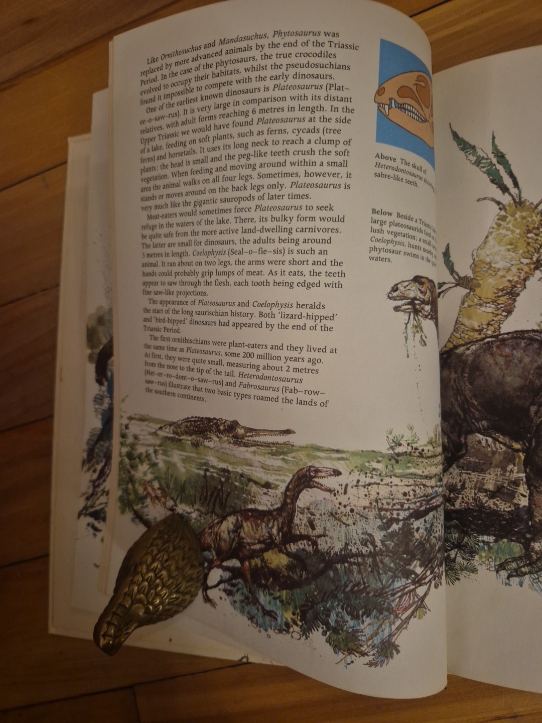 The World of Dinosaurs by Richard Moody – 1978 Hardcover Children’s Book