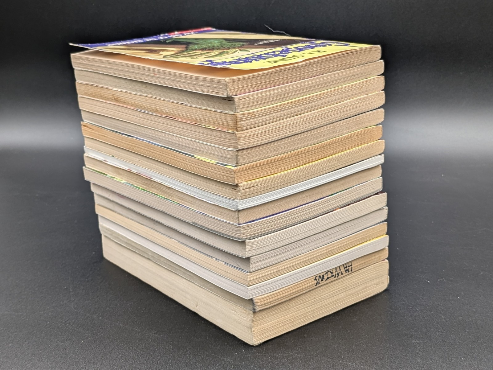 Lot Of 16 Goosebumps Books by R.L. Stine 1990’s-2000’s Vintage/Modern Mix