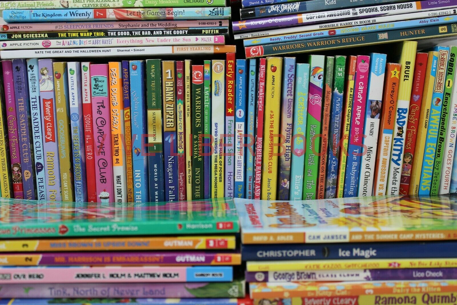Bulk/Huge Lot of 300 of Children’s Kids Chapter Books – Random – Free Shipping!