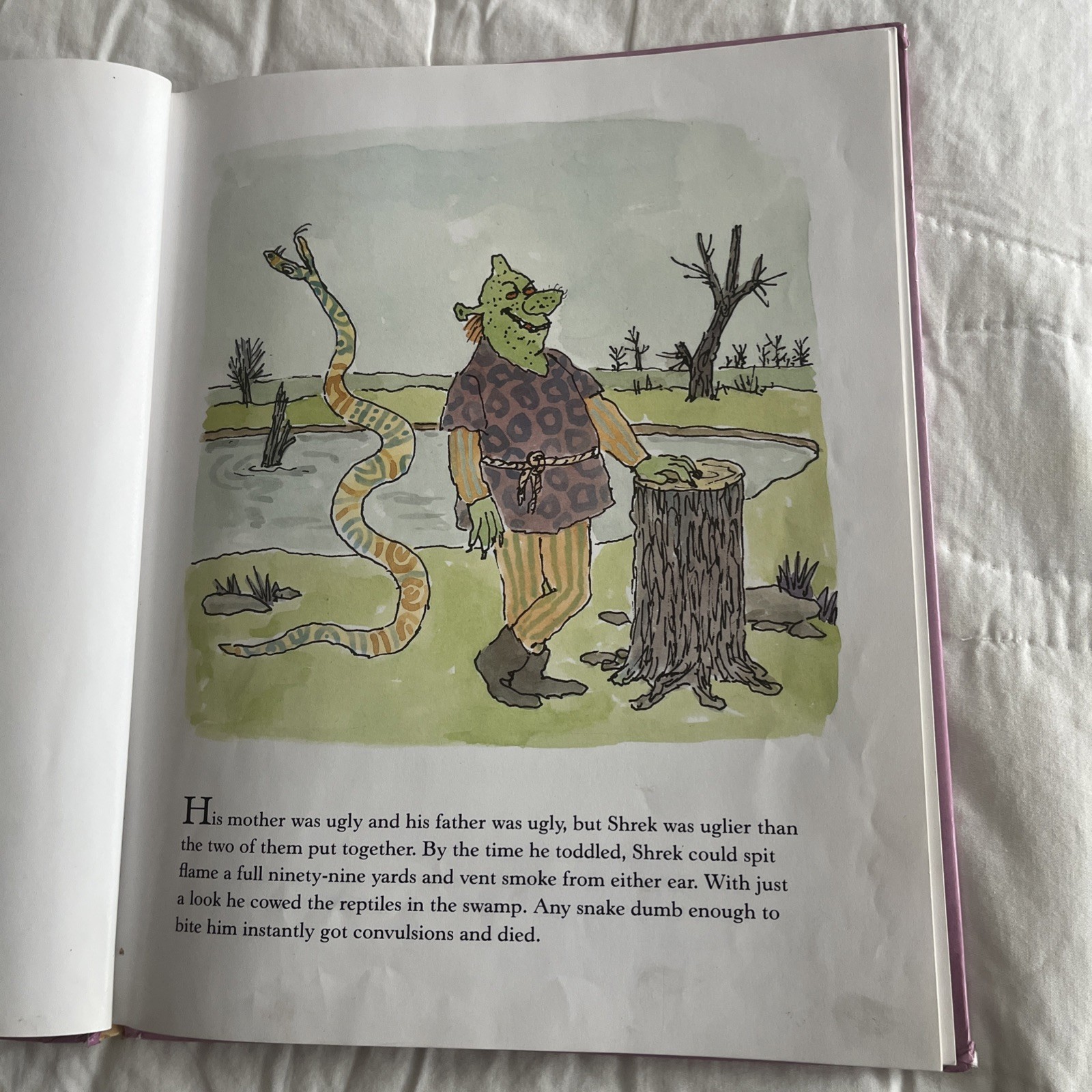 Vtg SHREK First Edition Book 90’ William Steig Farrar Straus Giroux NY Nostalgia