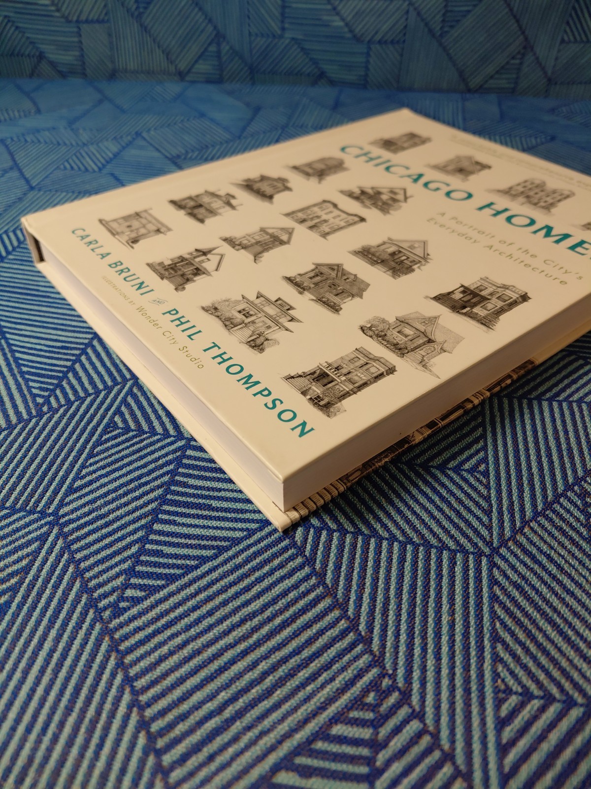 Chicago Homes: A Portrait of the City’s Everyday Architecture — Carla Bruni