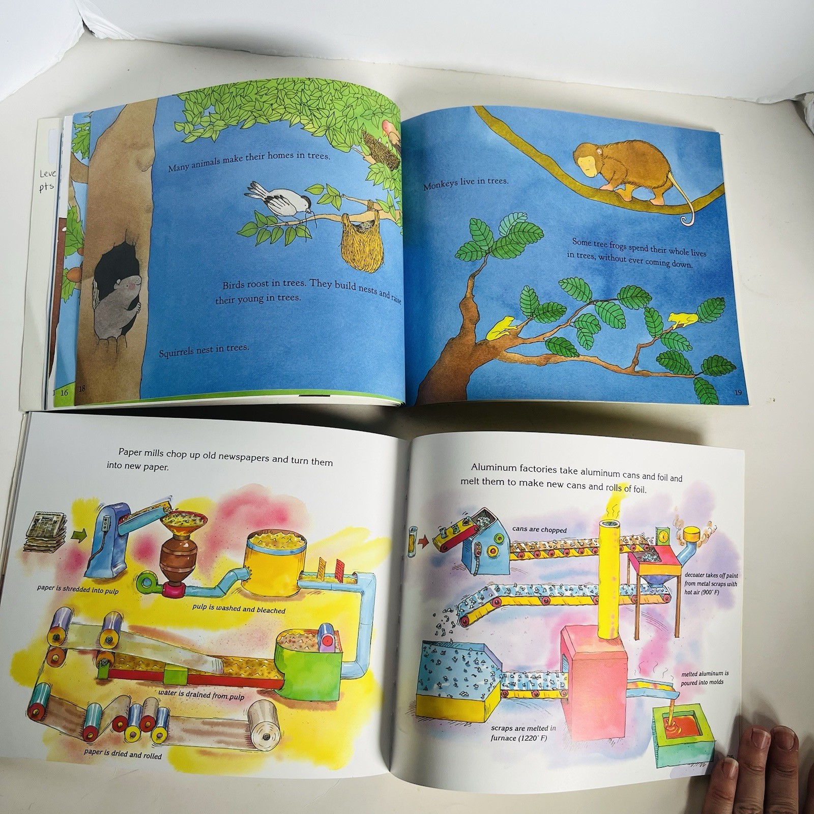 Lets Read and Find Out Science Book Lot 12 Hamburger Skeleton Planets Dinosaur P