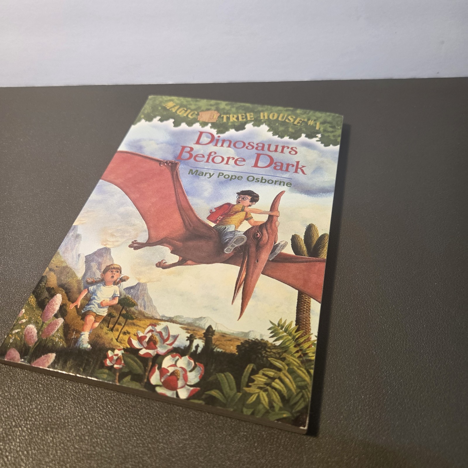 Magic Tree House #1 Dinosaurs Before Dark Paperback Book Mary Pope Osborne