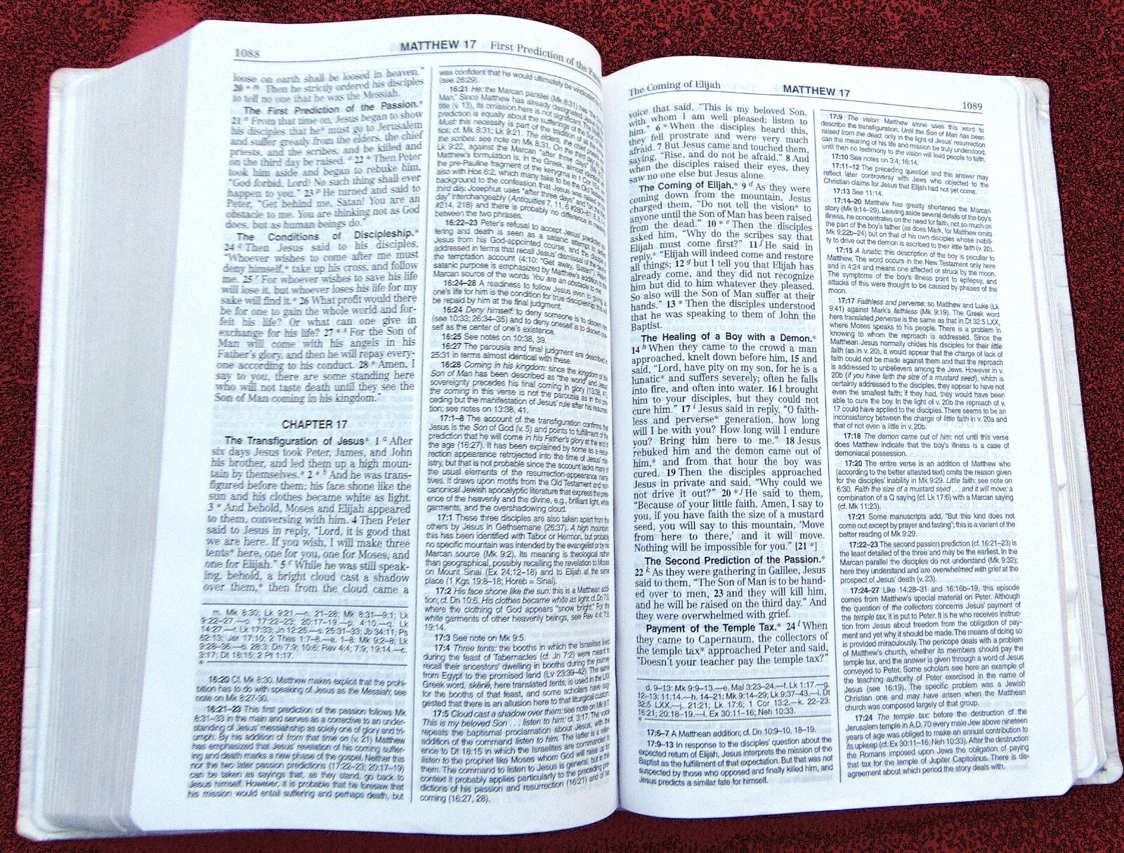 THE NEW AMERICAN BIBLE REVISED EDITION ~ CATHOLIC WORLD PRESS ~ 2011 ~WHITE