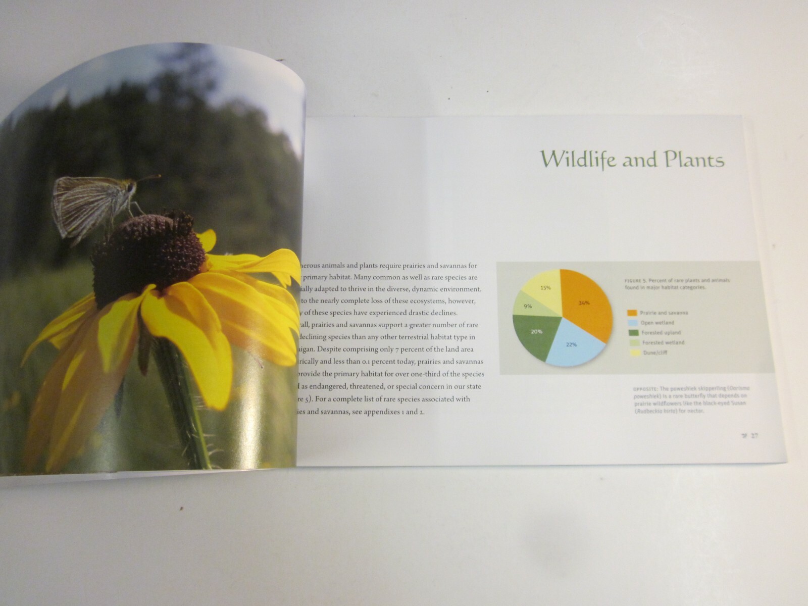 Prairies and Savannas in Michigan : Rediscovering Our Natural Heritage 2009