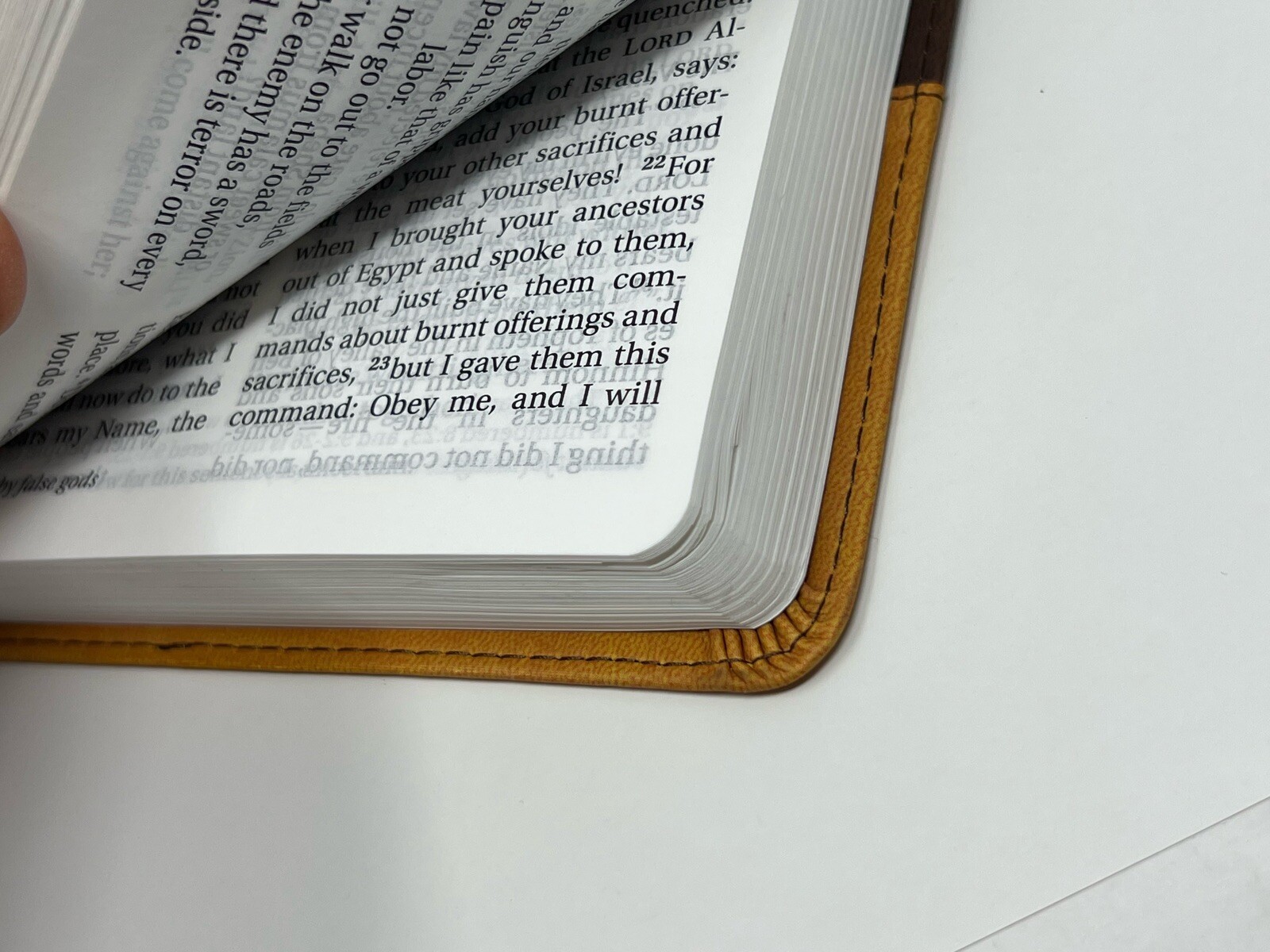 ✝️ LARGE PRINT Zondervan NIV Church Bible 2011 Duo-Tone Brown / Tan CLEAN