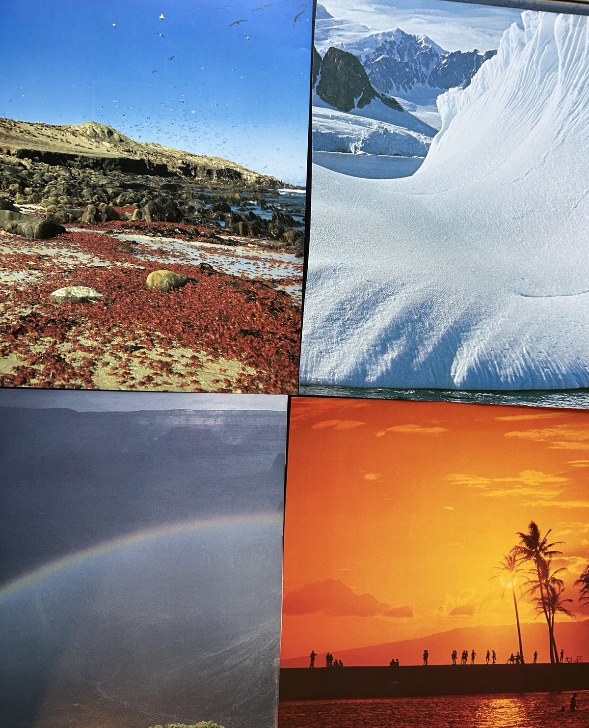 Collaging Book Pages Lot of 68 Pieces Collage Art Craft Landscapes Nature Mixed