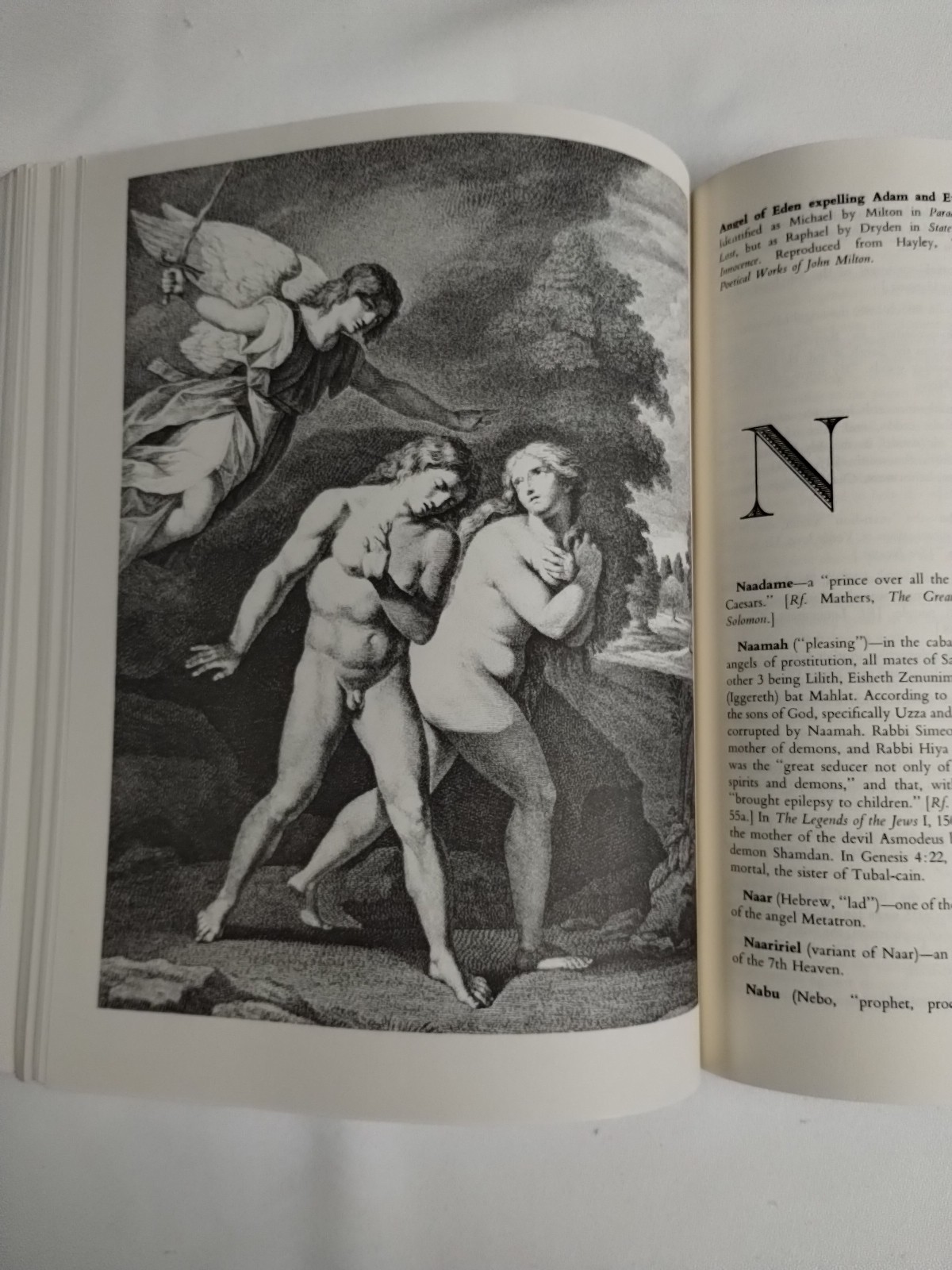 Dictionary Of Angels by Gustav Davidson 1971 Paperback First Free Press Edition