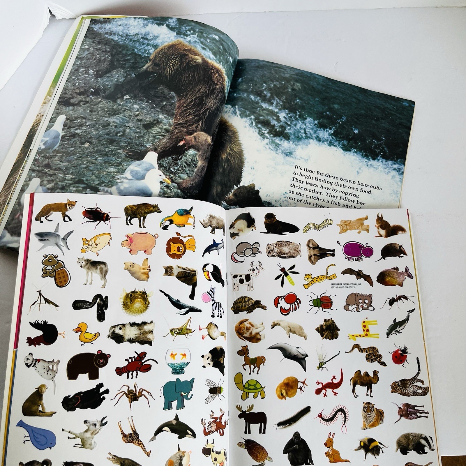 Animal Science Nature Book Lot 8 Classroom Homeschool Hibernation Baby STEM