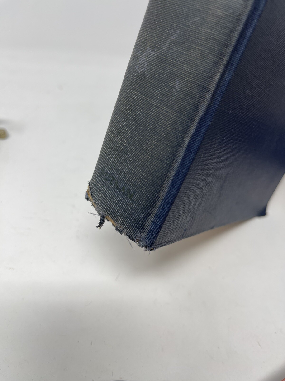 I Was Hitler’s Prisoner A Diary By Stefan Lorant Hardcover Putnam 1935