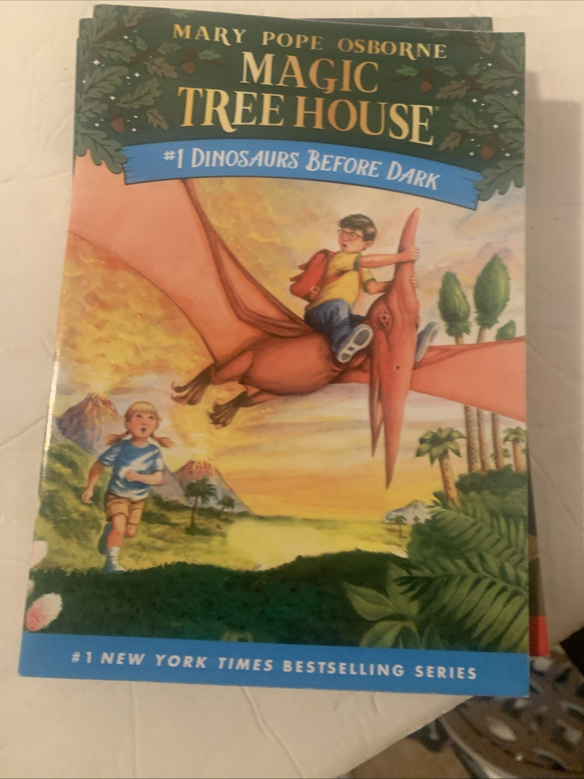 Magic Tree House Series Book Set Children’s Paperback Set Of 6