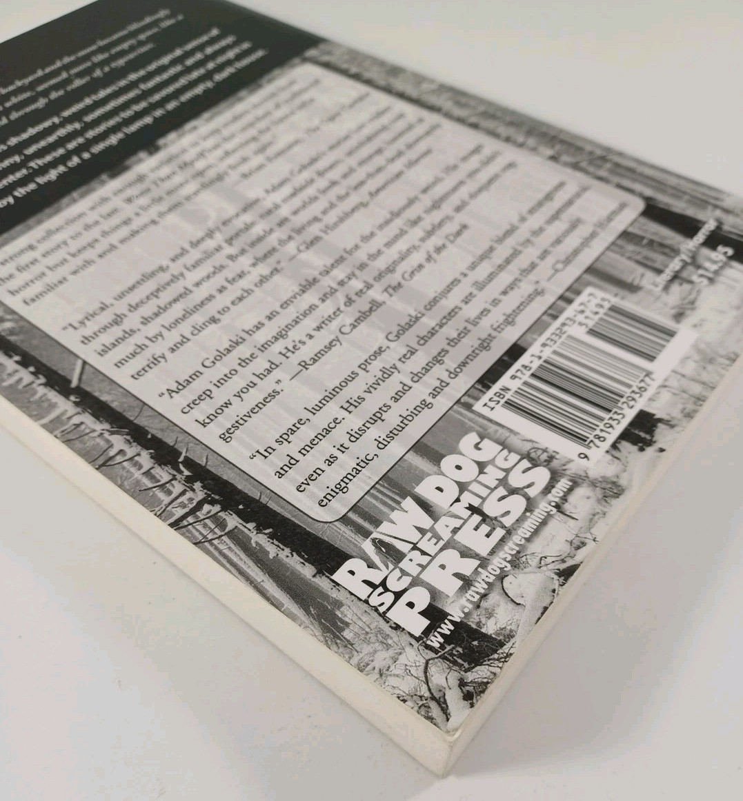 Worse Than Myself by Adam Golaski (2008, Paperback) “Cambell blurb” edition