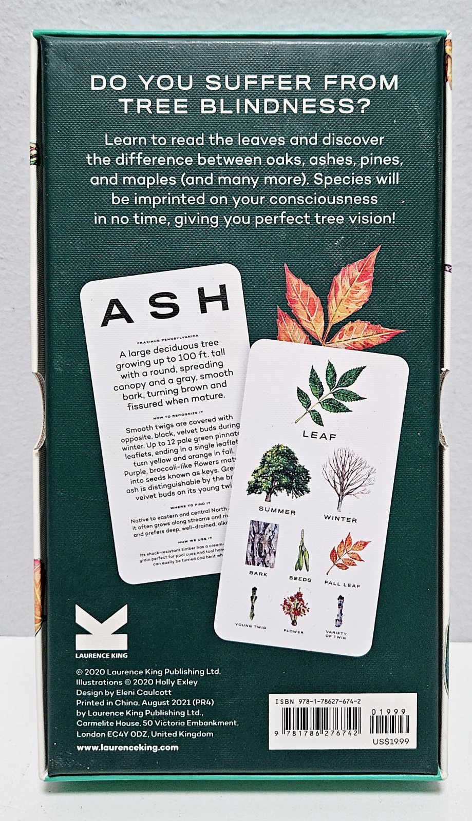 Tree Vision: Knowledge Your Trees In 30 Cards by Tony Kirkham & Holly Exley