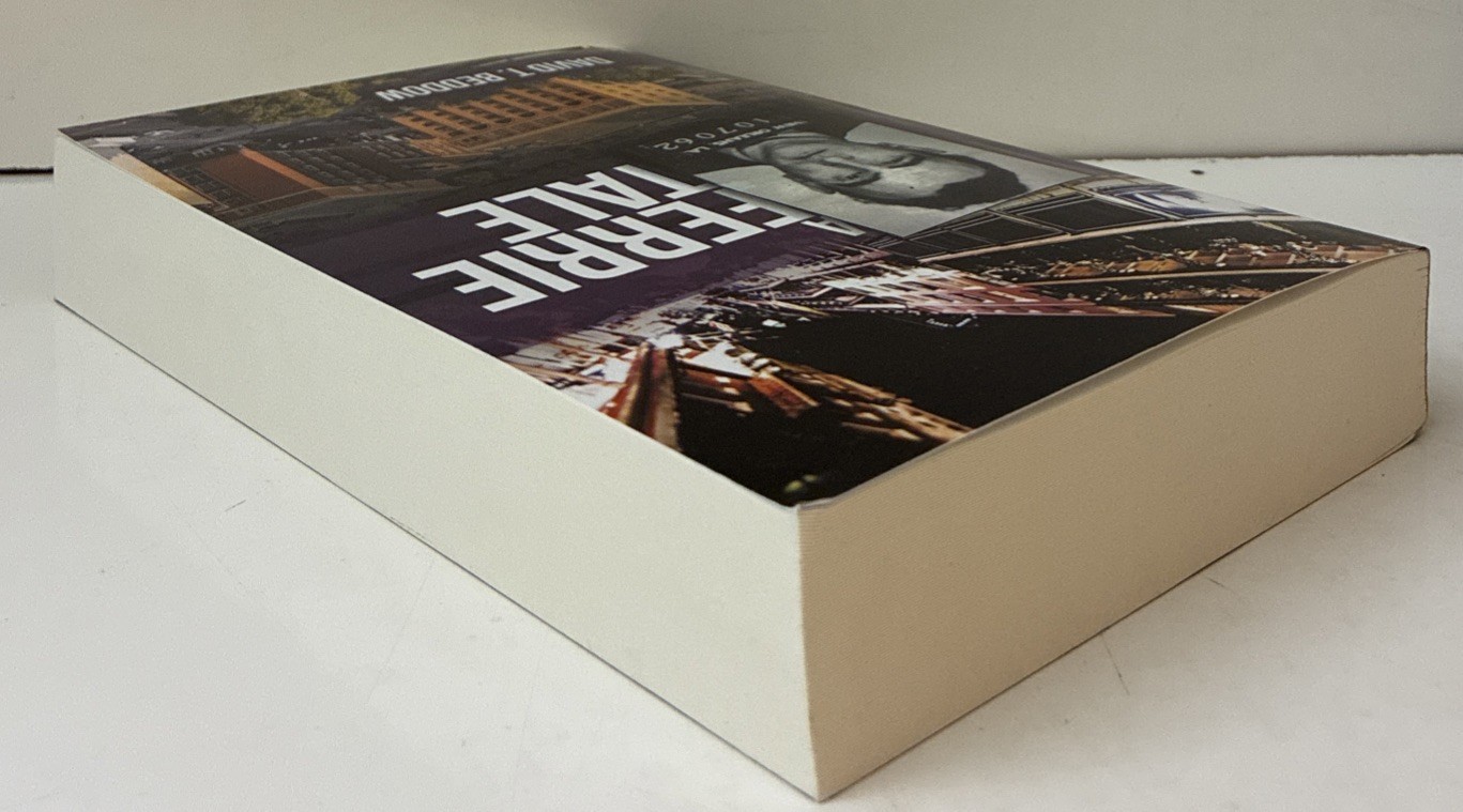A Ferrie Tale by David T. Beddow Trade Paperback 2019 Archway Publishing Good