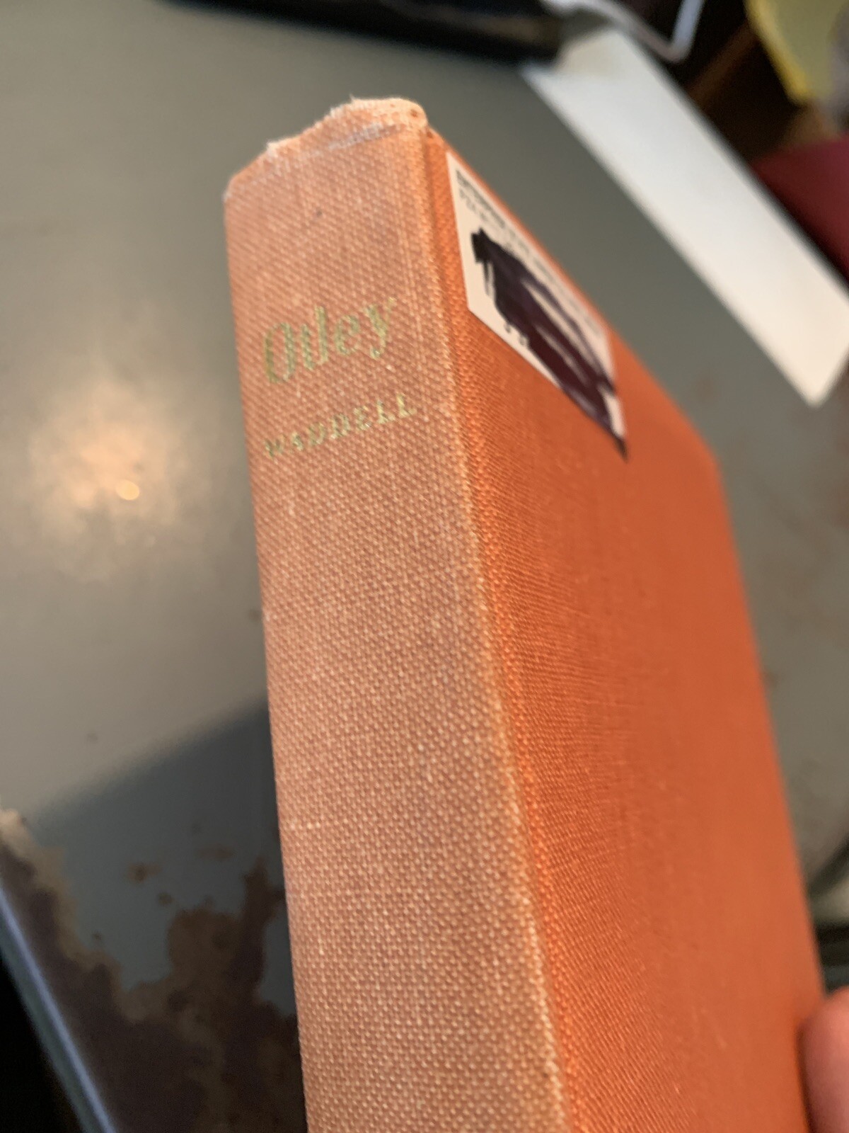 Otley By Martin Waddell 1966 First Edition Hardcover Stein And Day Publishers