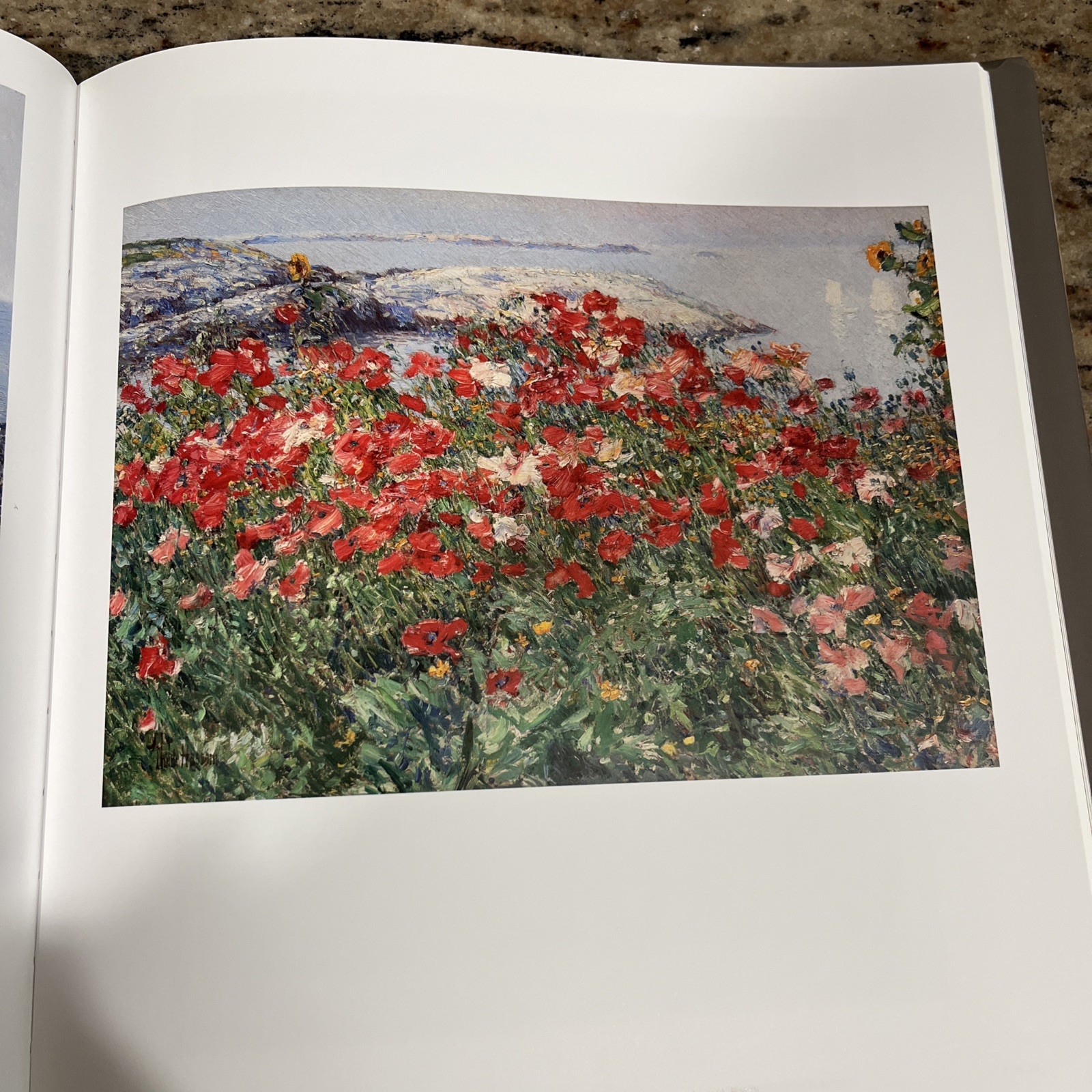 American Impressionist Childe Hassam and the Isles of Shoals, 2016