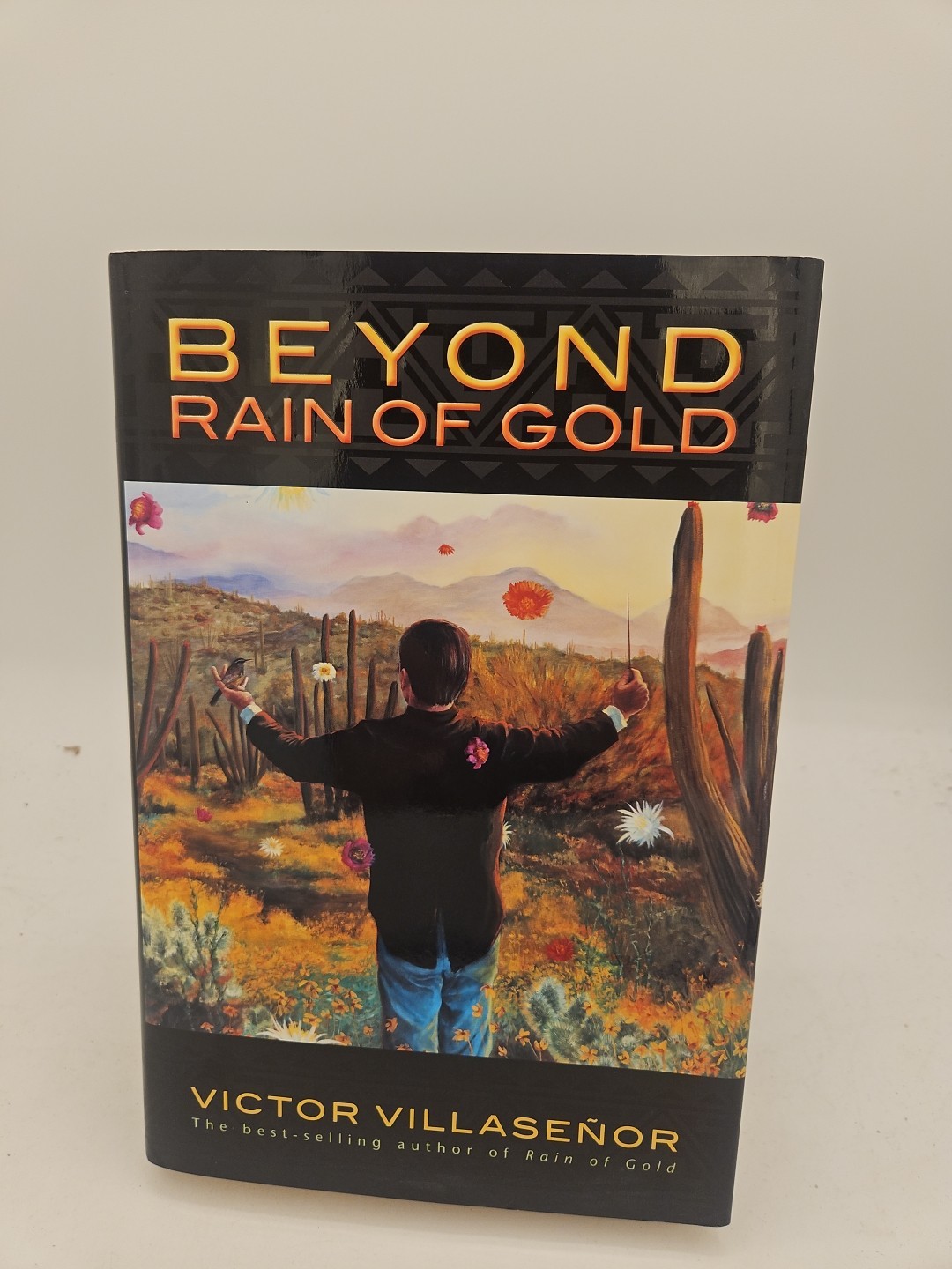 Beyond Rain of Gold by Victor Villasenor 2011 HC DJ VG Condition G3
