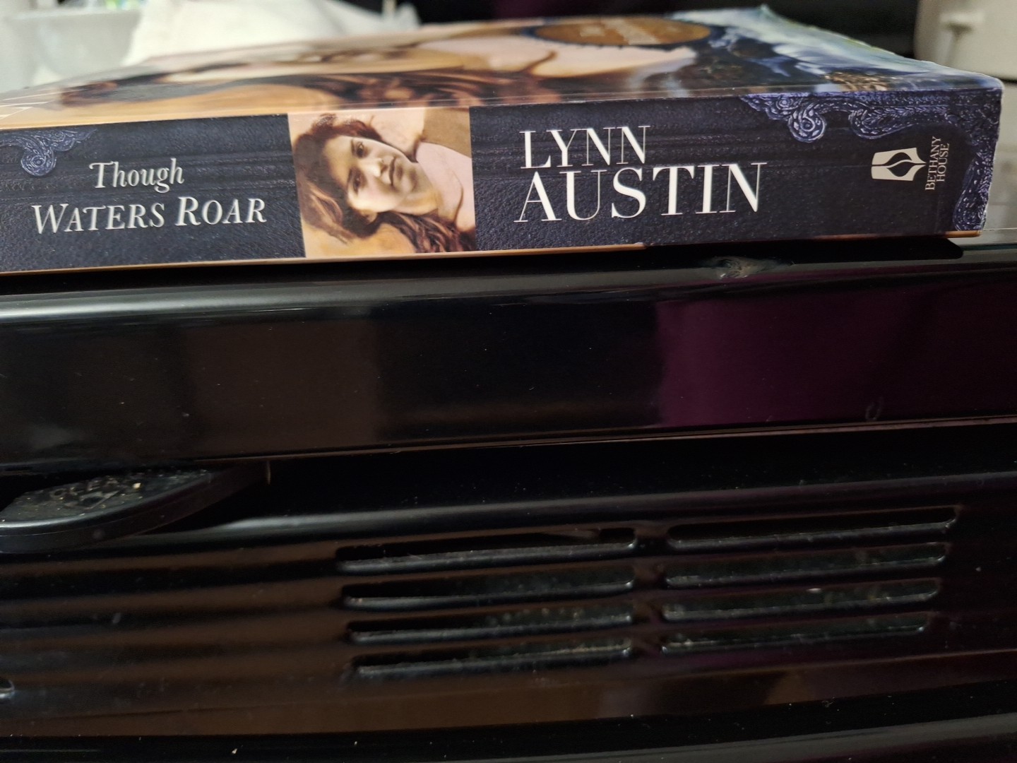 Though WATERS ROAR~Novel By LYNN AUSTIN~430 Pages~Nice Condition~Fiction~#3911