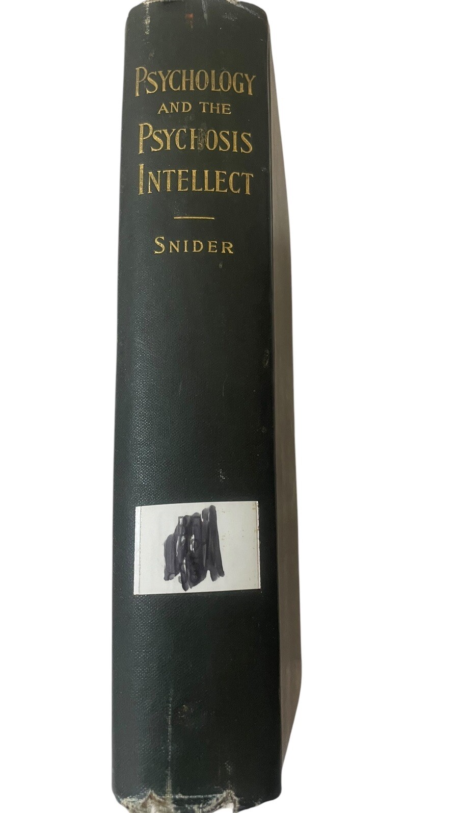 Psychology And The Psychosis Intellect 1896 Hardcover Denton J. Snider