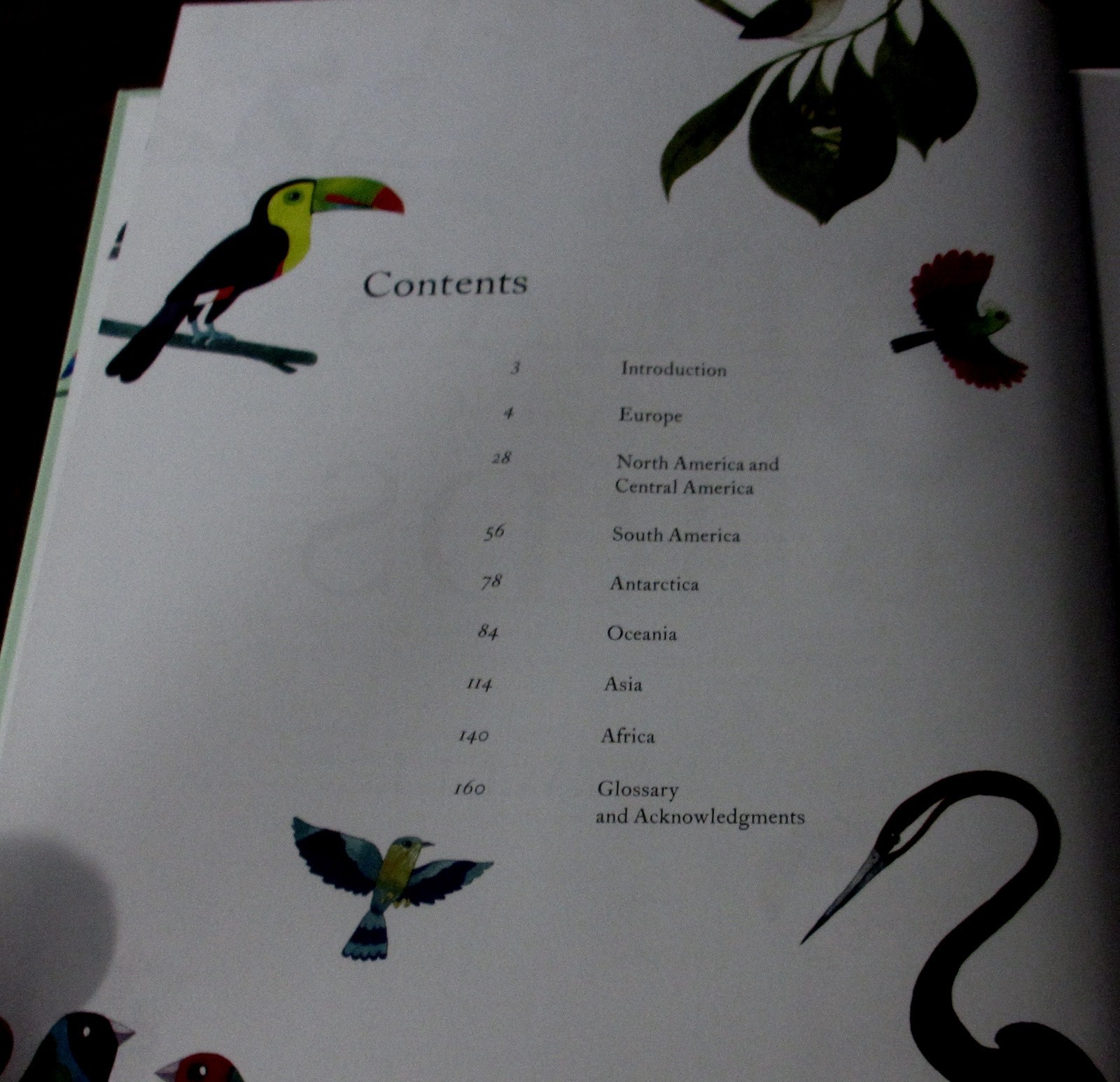 “The Atlas of Amazing Birds” by Matt Sewell – hardcover