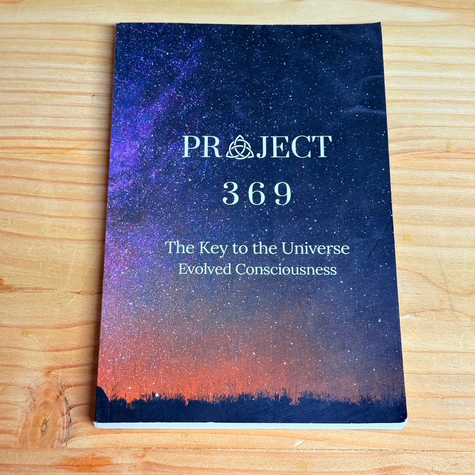 Project 369 David Kasneci 2020 First Edition Spirituality Palmetto