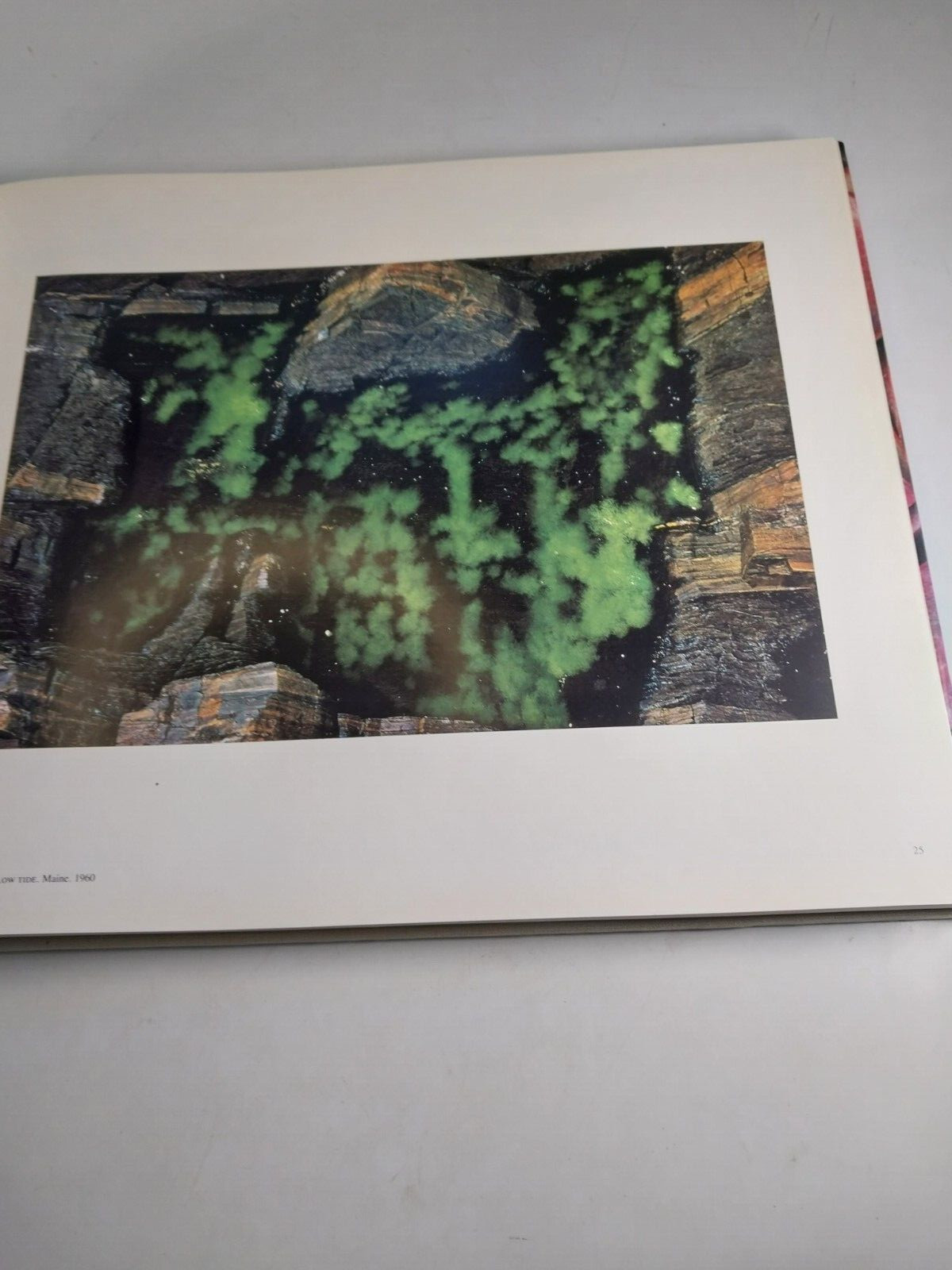 Ernst Haas Color Photography by Ernst Haas 1989 Abrams Fine Art Book HC DJ