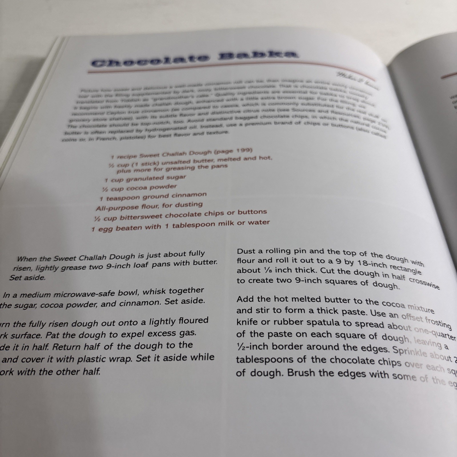Artisan Jewish Deli at Home by Michael Zusman and Nick Zukin (2013, Hardcover)
