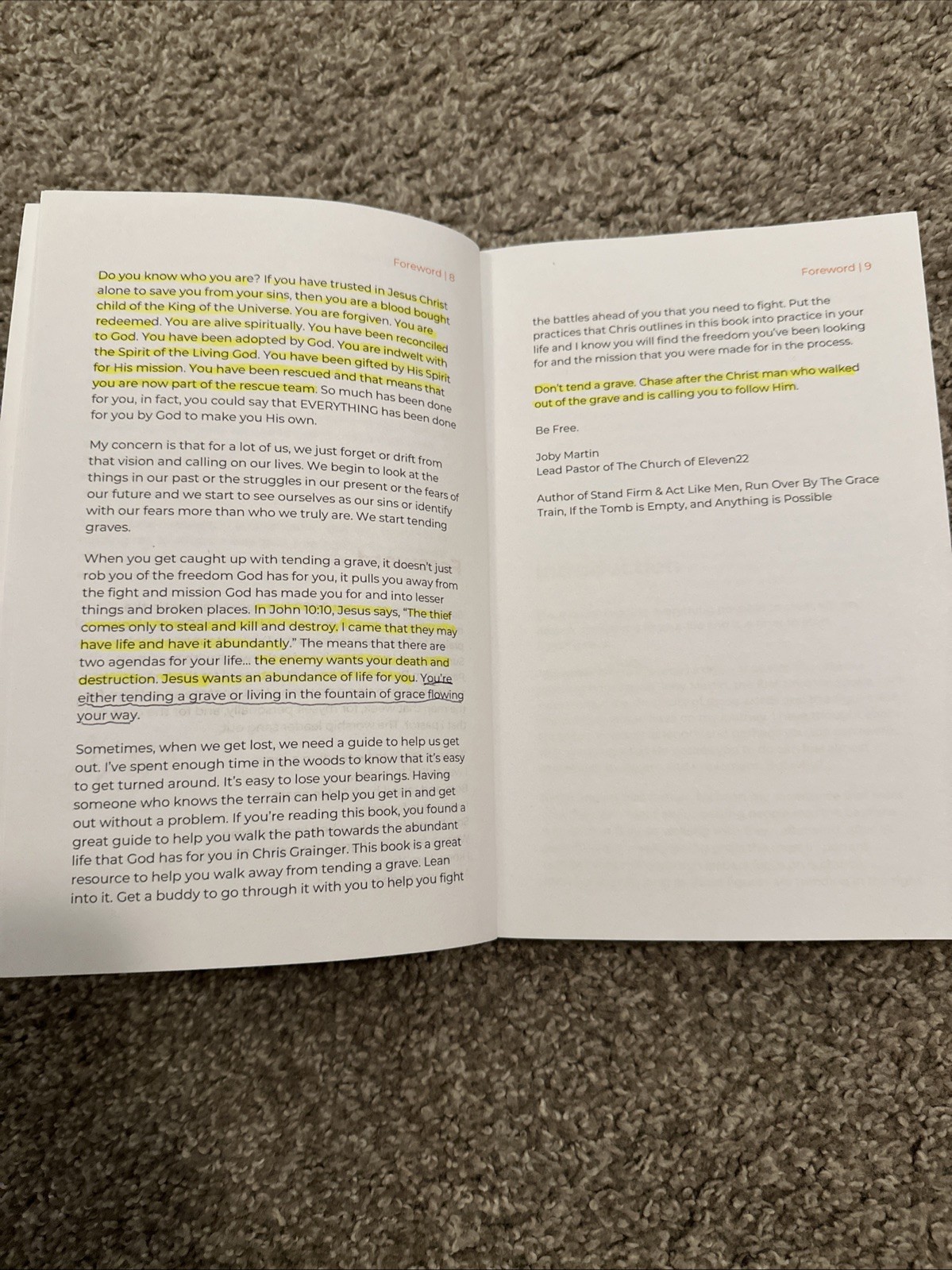 Unleashing the Lion Within by Chris Grainger 2022 Christian Men Leadership PB