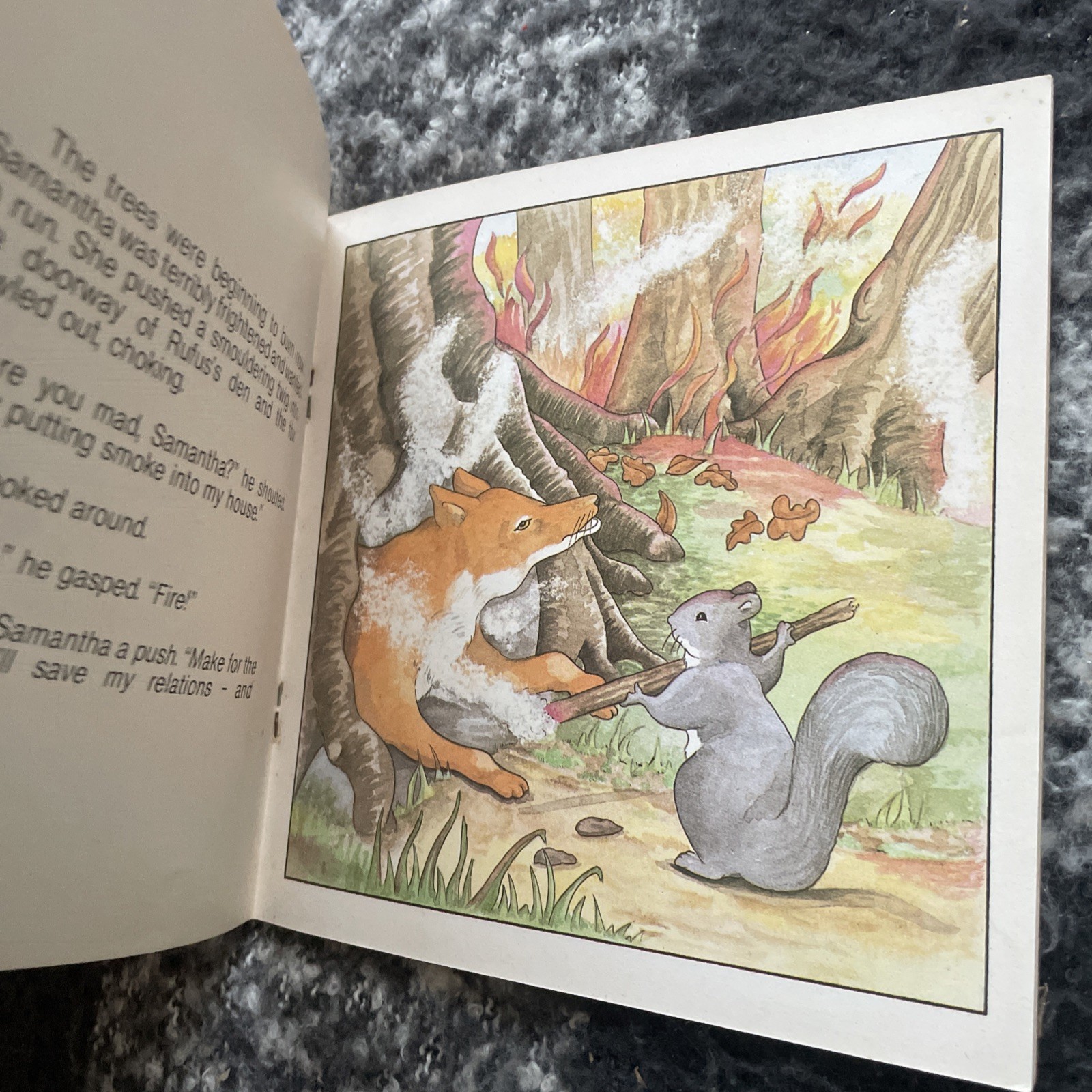 MURIEL MILLER. THE WOODLANDERS. PANIC IN THE WOODLAND. 17 BY 17 CM. 0906791472