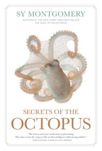Secrets of the Octopus by Sy Montgomery: Used