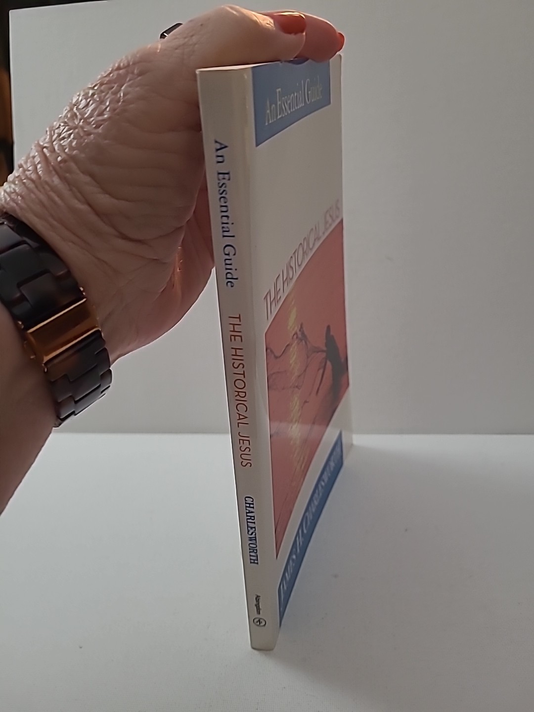 The Historical Jesus: An Essential Guide (Paperback or Softback) J. Charlesworth