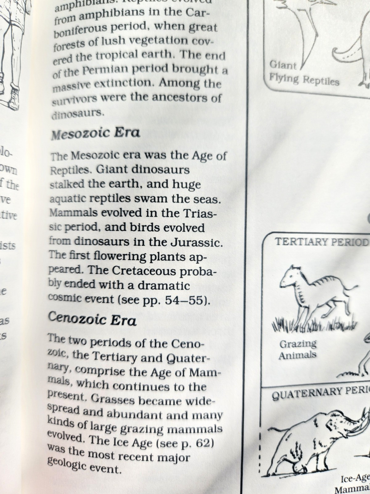 A Field Guide to Dinosaurs Coloring Book – Like New/Unused Vintage 1989 Rare PB