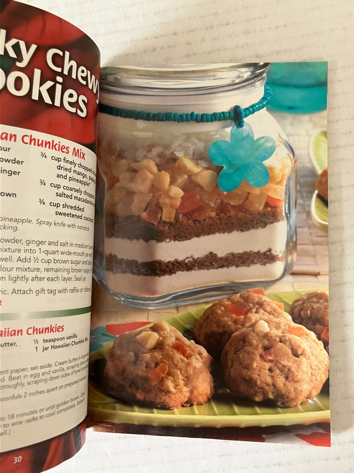 Holiday Gifts from a Jar Cookbook Favorite Brand Name Recipes 2009 Recipes
