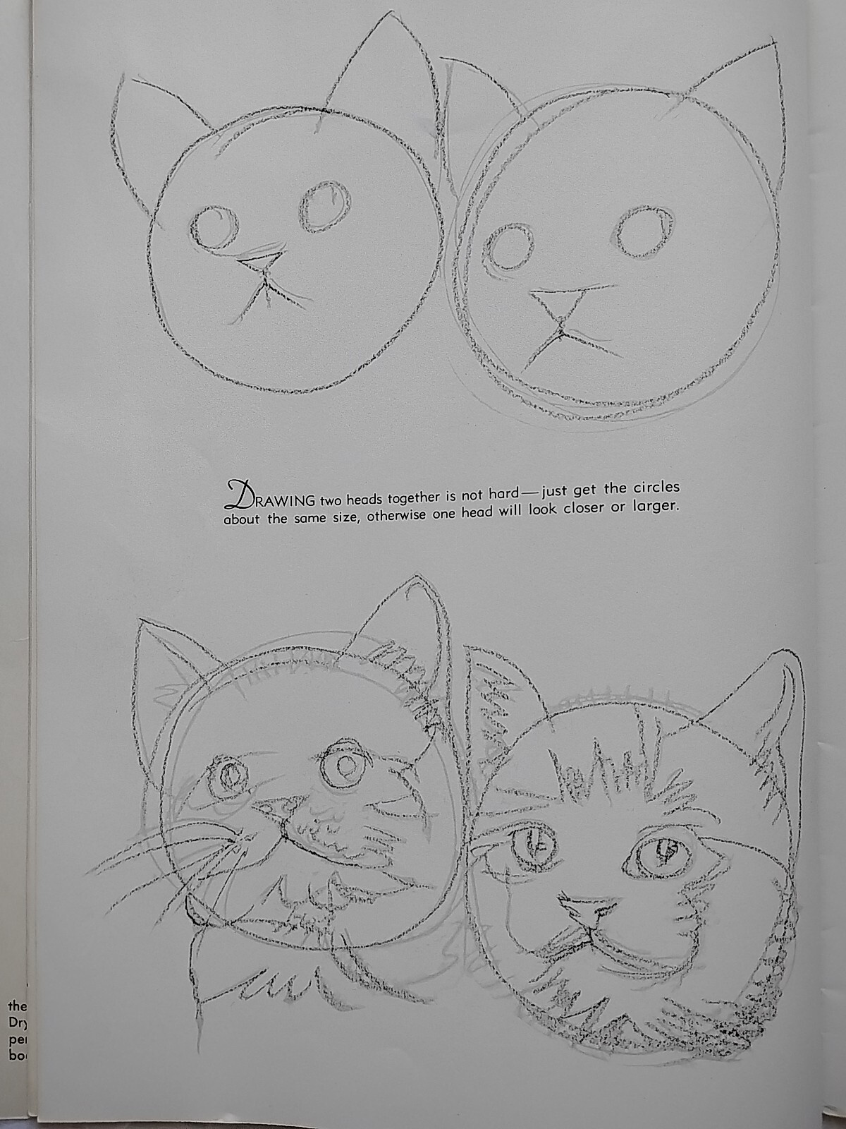 Vintage Lot of 4 Walter T. Foster Cats, Bears & Animals 13, 70, 89 & 134 (264)