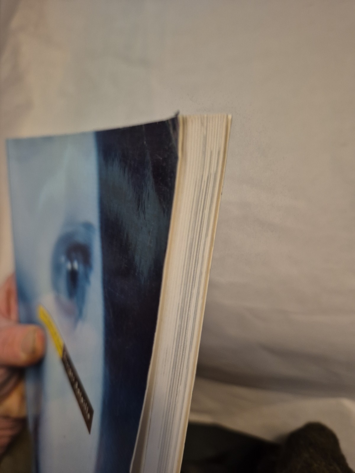 Tears of Eros by Georges Bataille TPB French Philosophy Violence Horror Abject