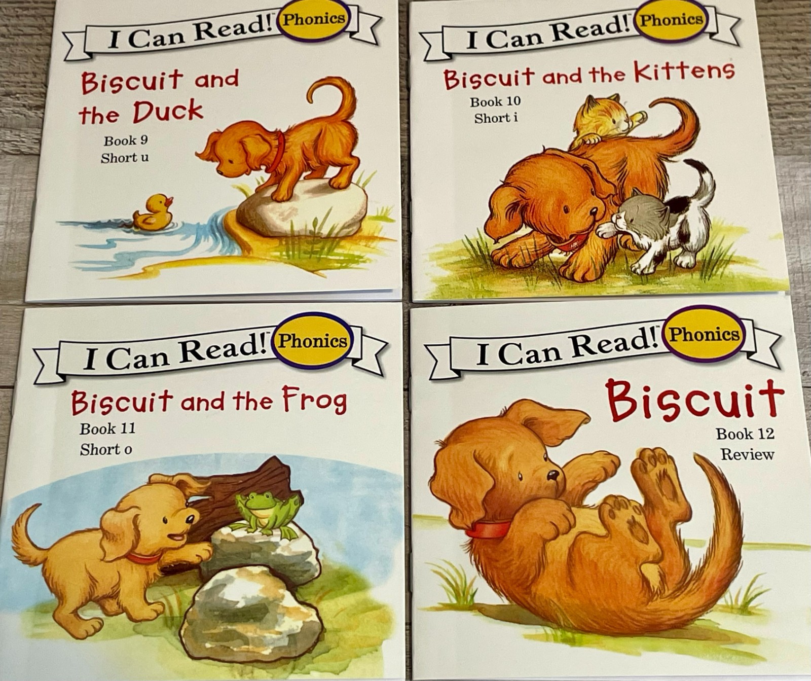 I Can Read Phonics (Short Vowels) “This is Biscuit” Set of 12