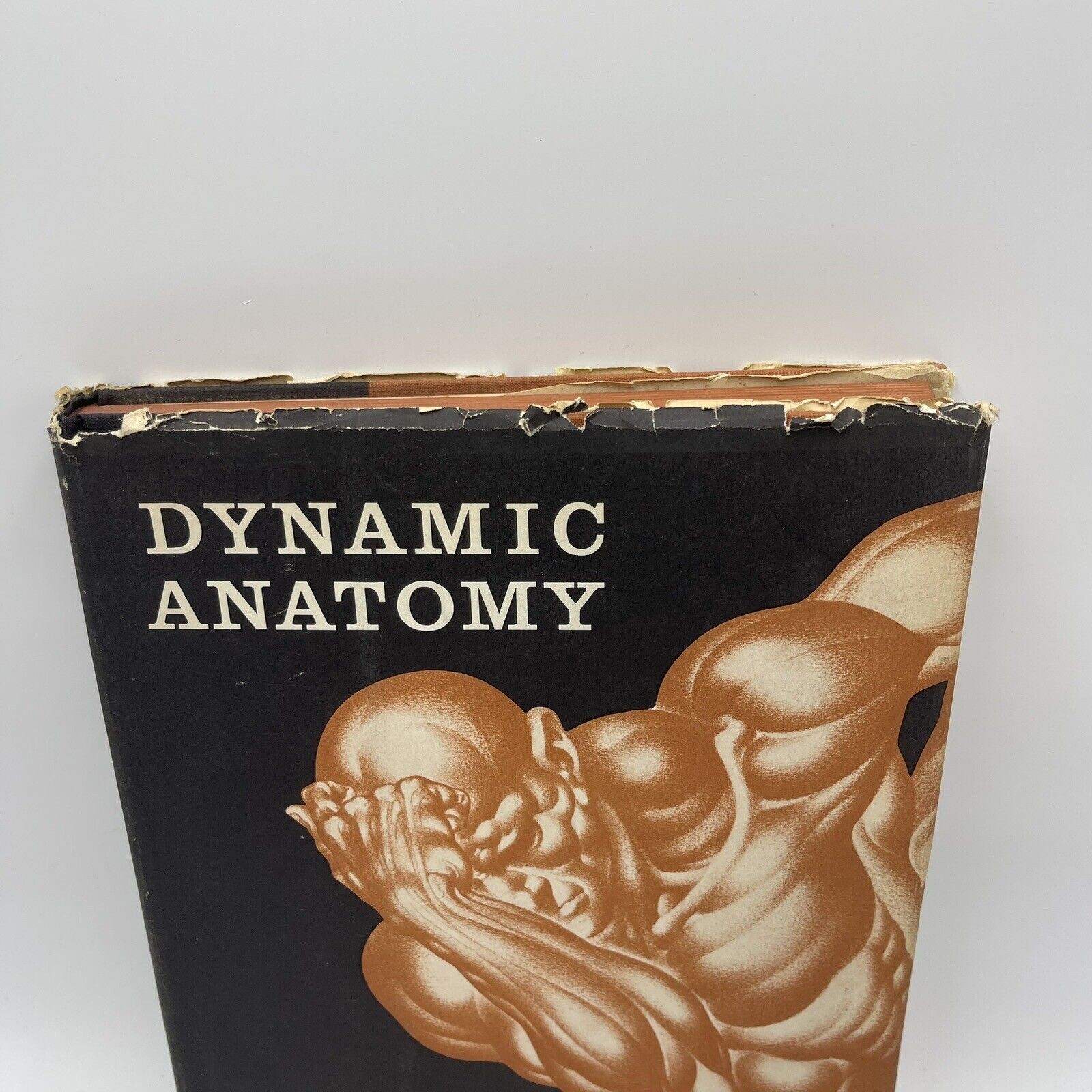 Dynamic Anatomy By Burne Hogarth (1958 Hardcover)