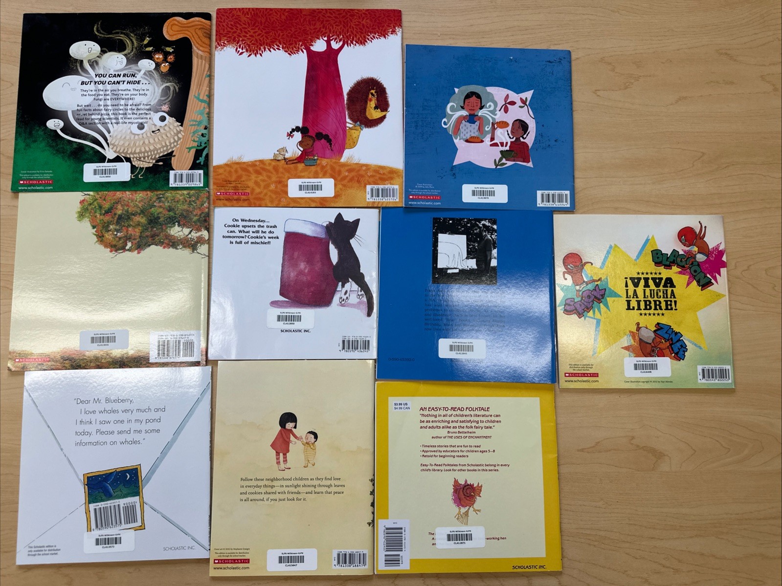 Scholastic Book Lot 10 Paperback Books Like New Mixed Titles Children’s Books