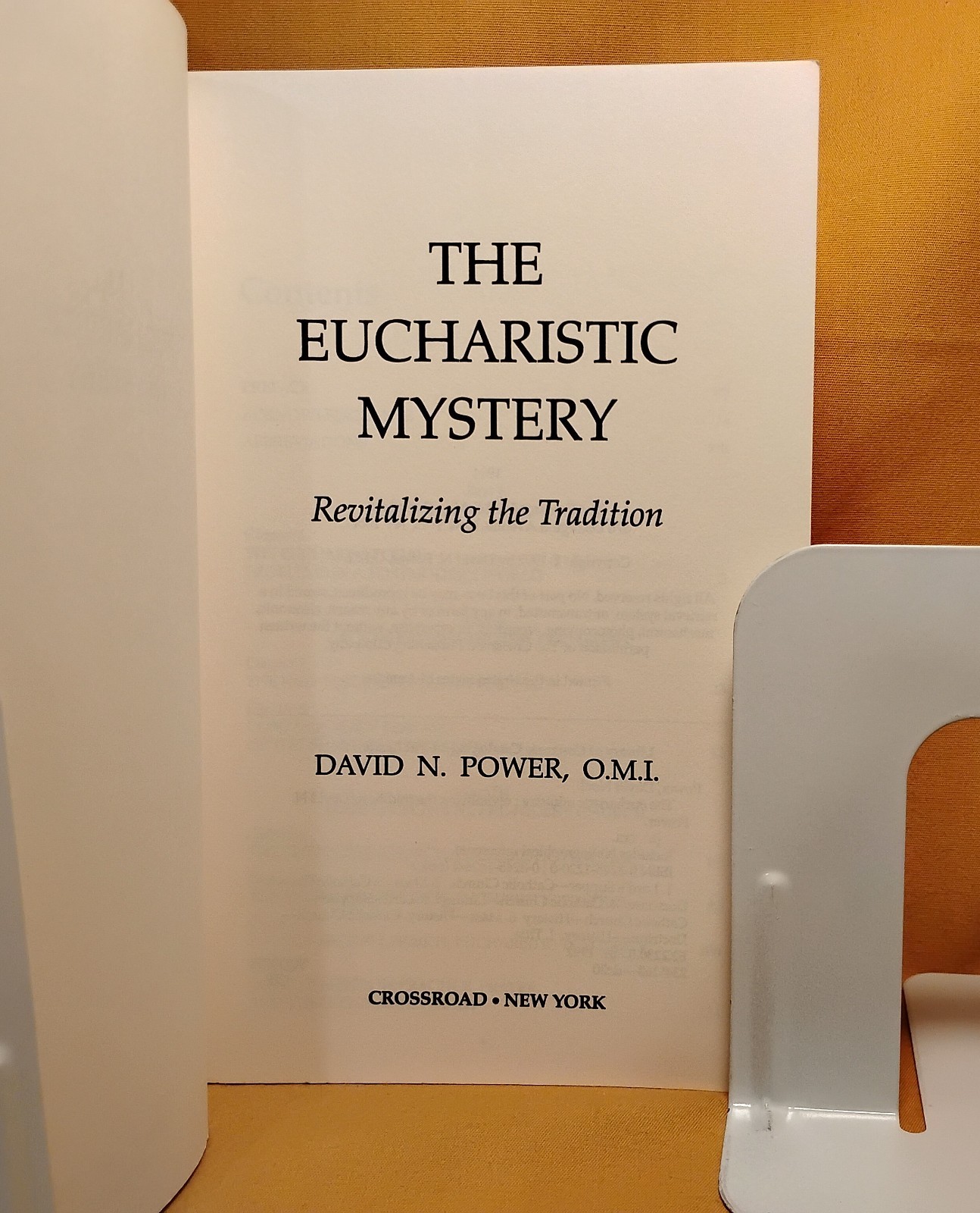 Eucharistic Mystery Liturgical Books History Religious Traditions 3 TPB book lot