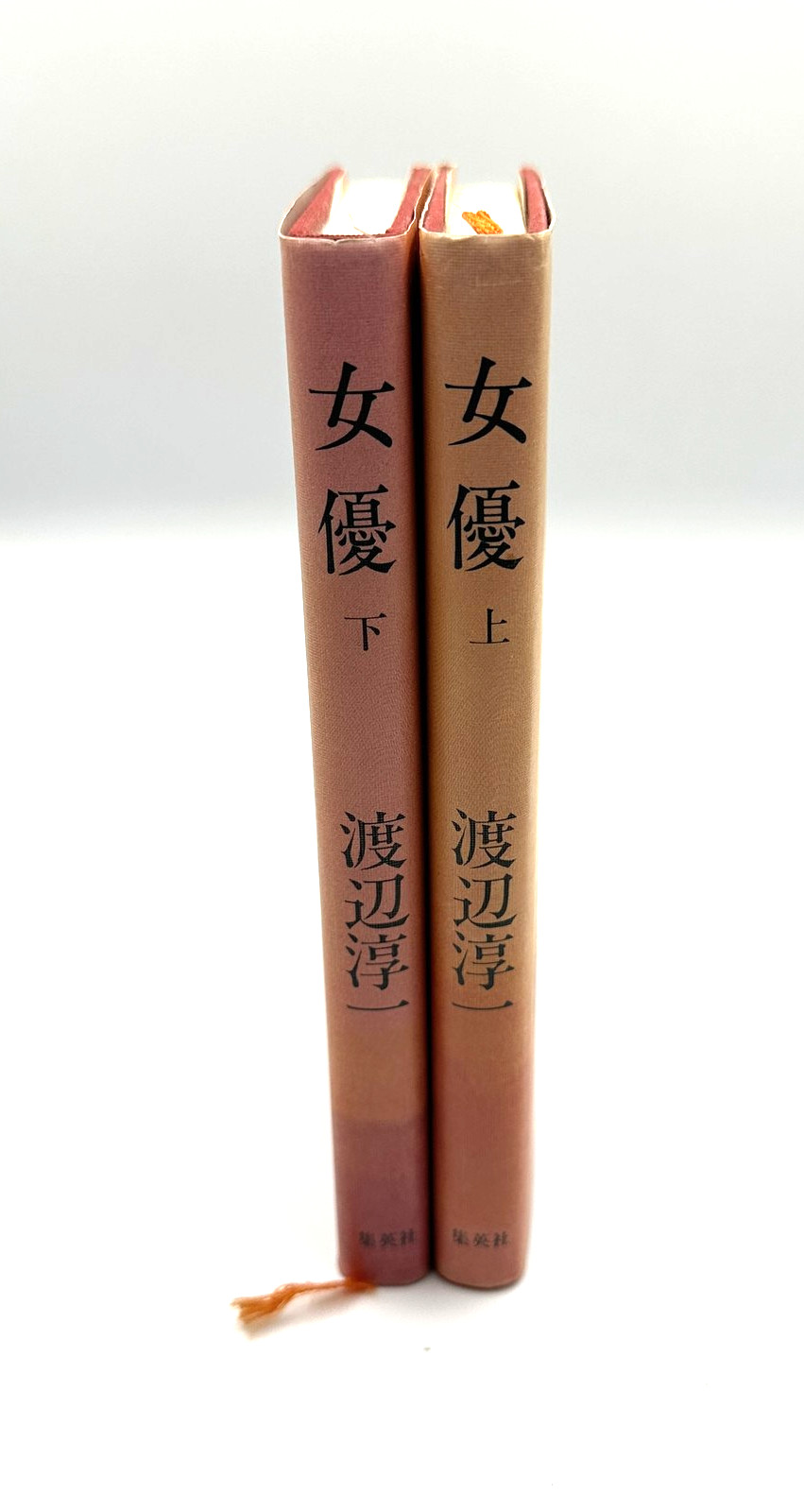 Joyū Actress Junichi Watanabe Japanese Book Set Vol 1 & 2 Shueisha