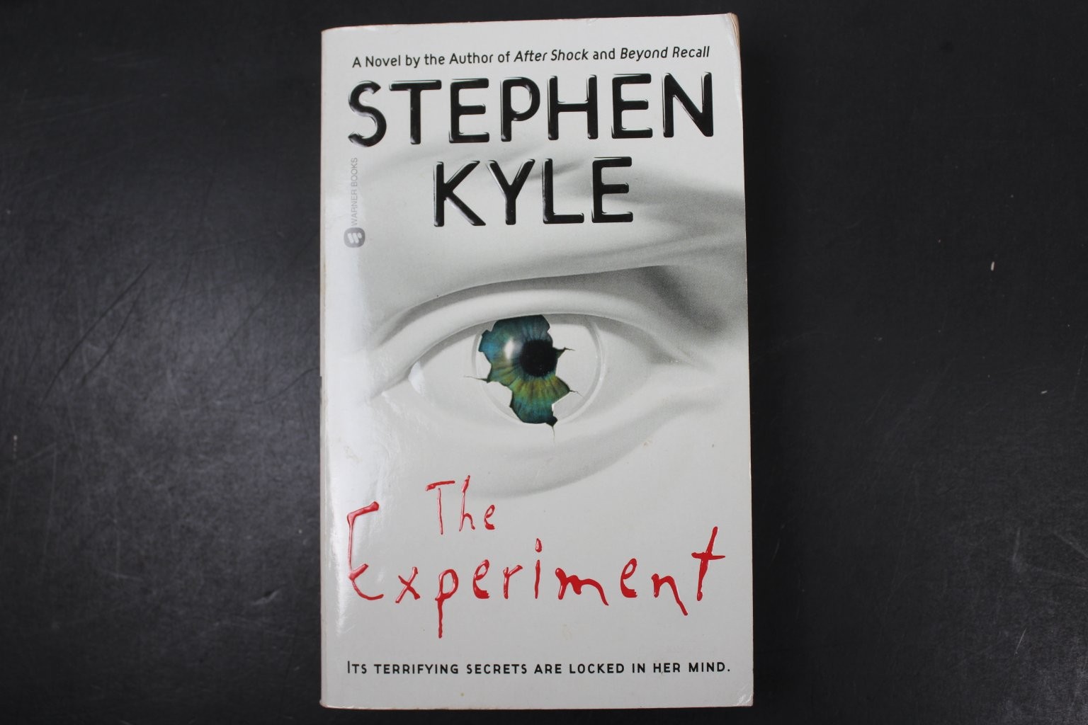 The Experiment Stephen Kyle 2003 First Printing Thriller Warner Books PB