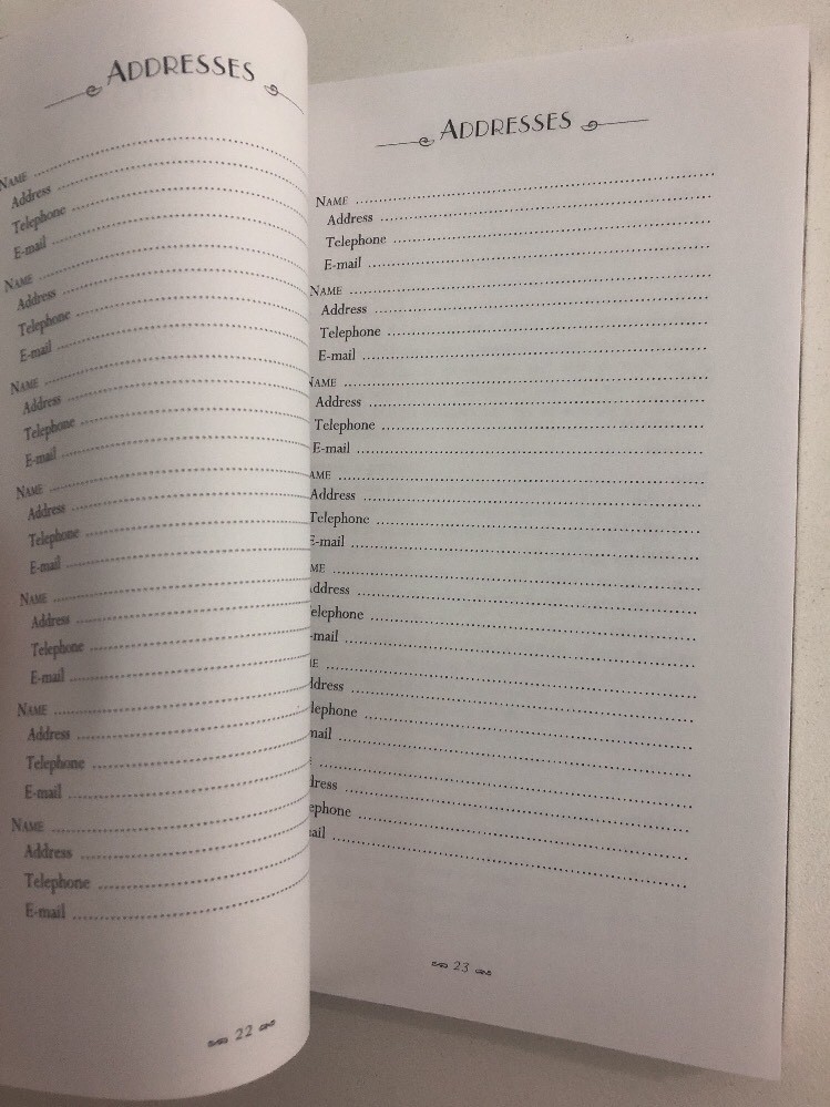 European Travel Journal by Ten Speed Press Staff (2000, Diary, Journal)