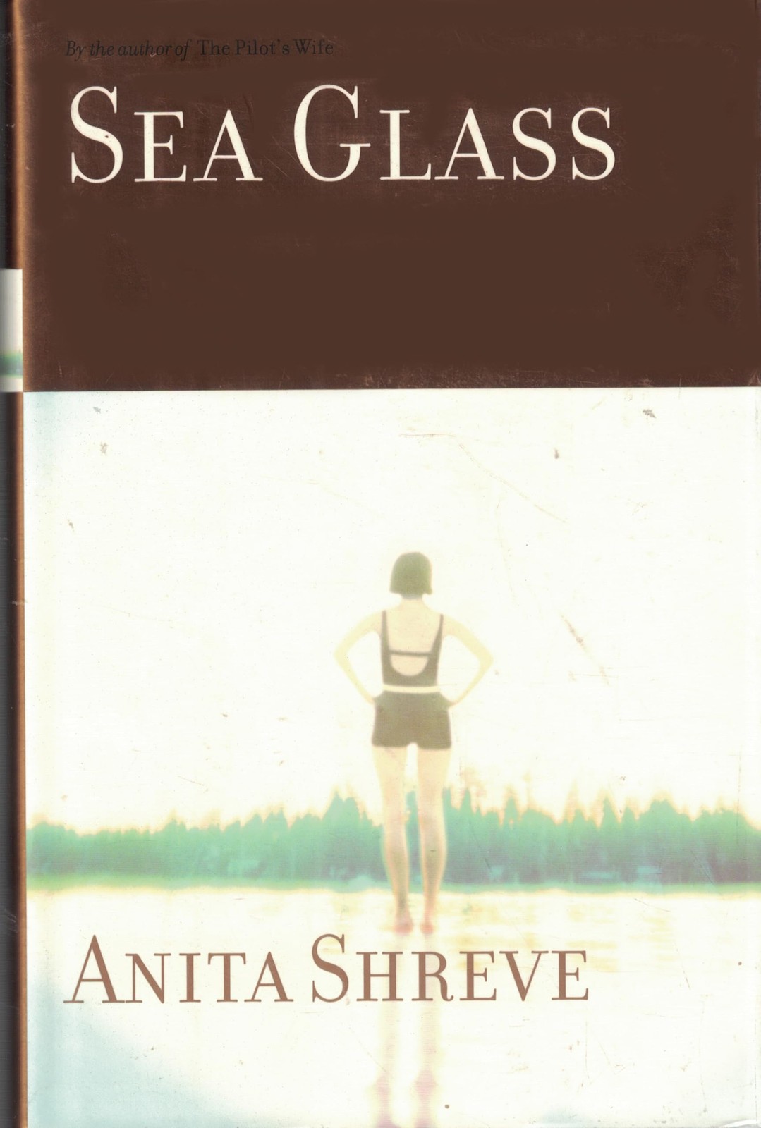 Sea Glass: A Novel by Shreve