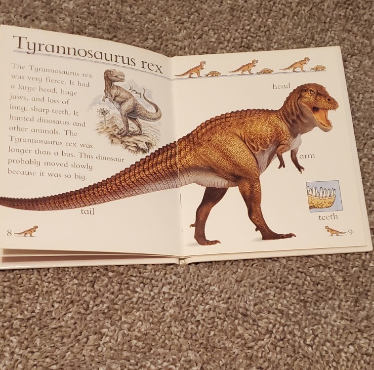 Lot Of 4 Children’s Dinosaur Picture Books Educational Fold Out Flaps 1 Vintage