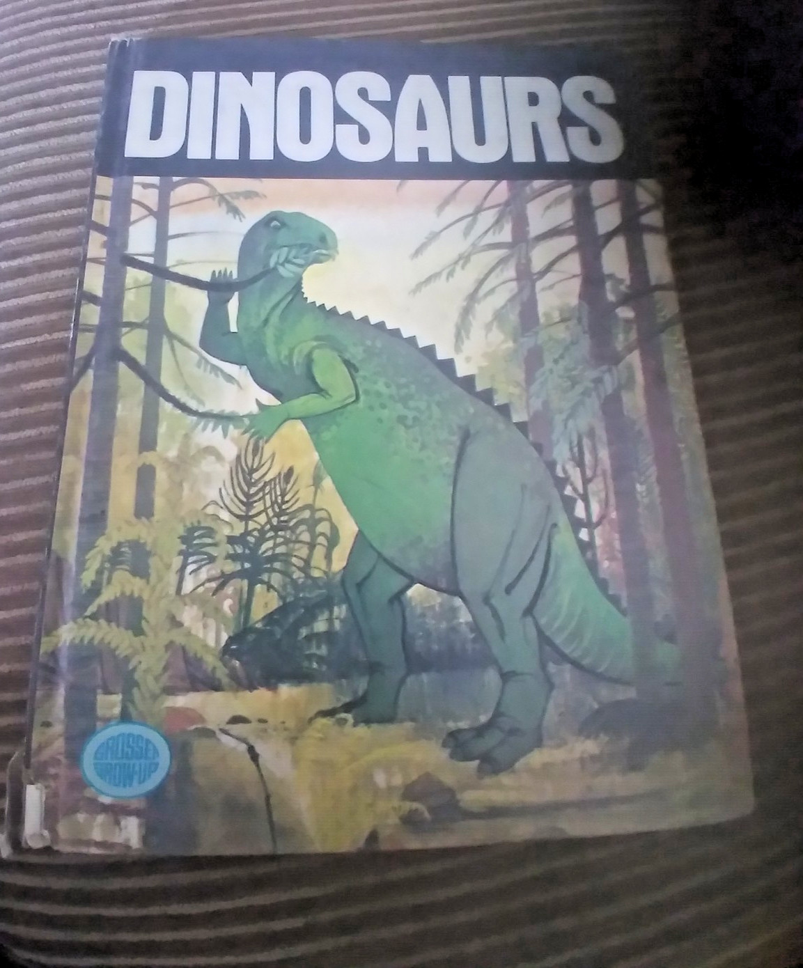 Dinosaurs Grow Up Grosset & Dunlap Pictures by Laurent Sauveur Sant 1976 HB