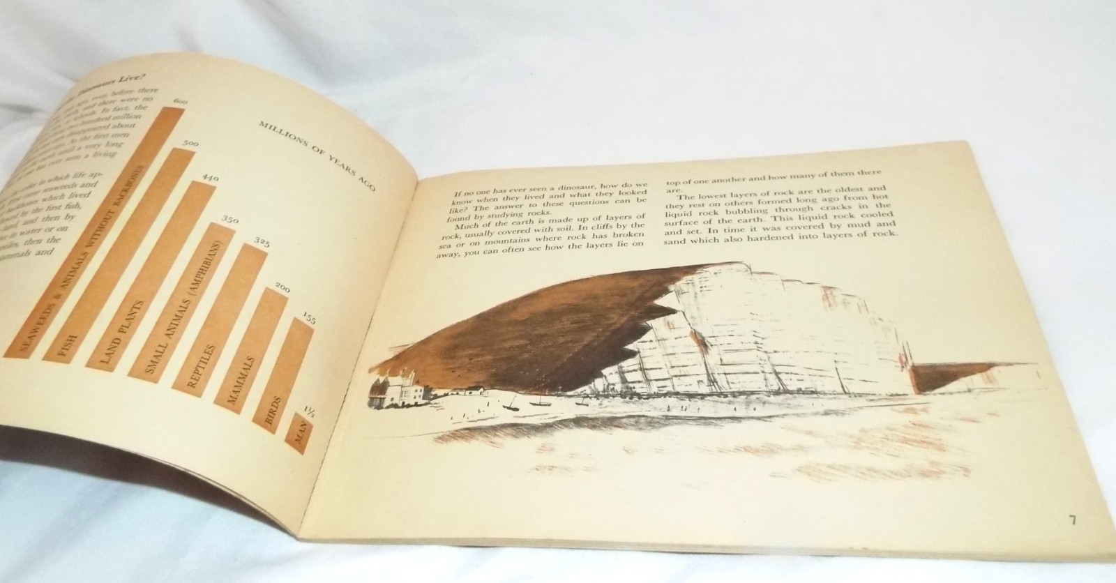 Digging for Dinosaurs by W.E. Swinton 1st Printing September 1969