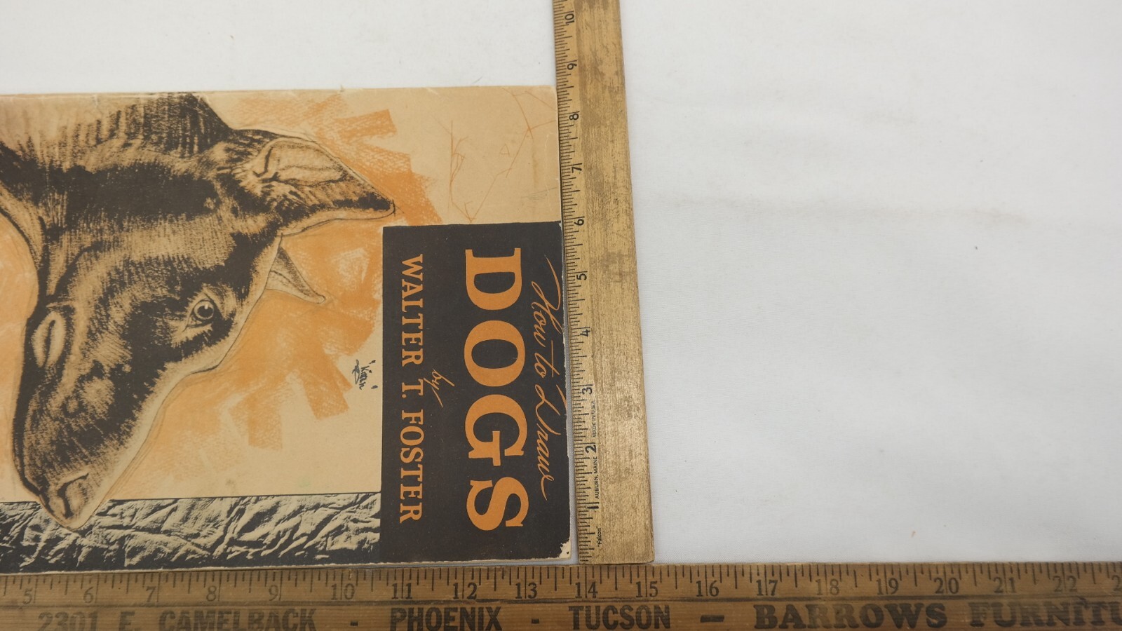 Vintage How To Draw Dogs by Walter T Foster Paperback Booklet TF