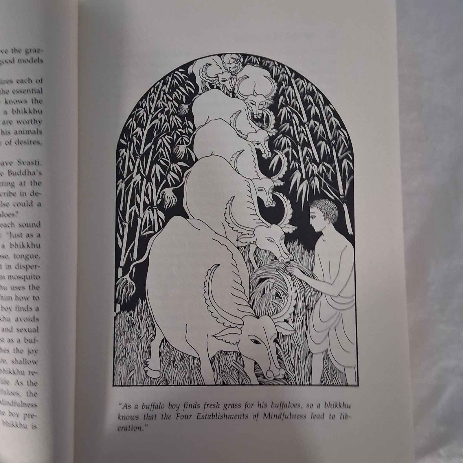 Old Path White Clouds : Walking in the Footsteps of the Buddha – PB