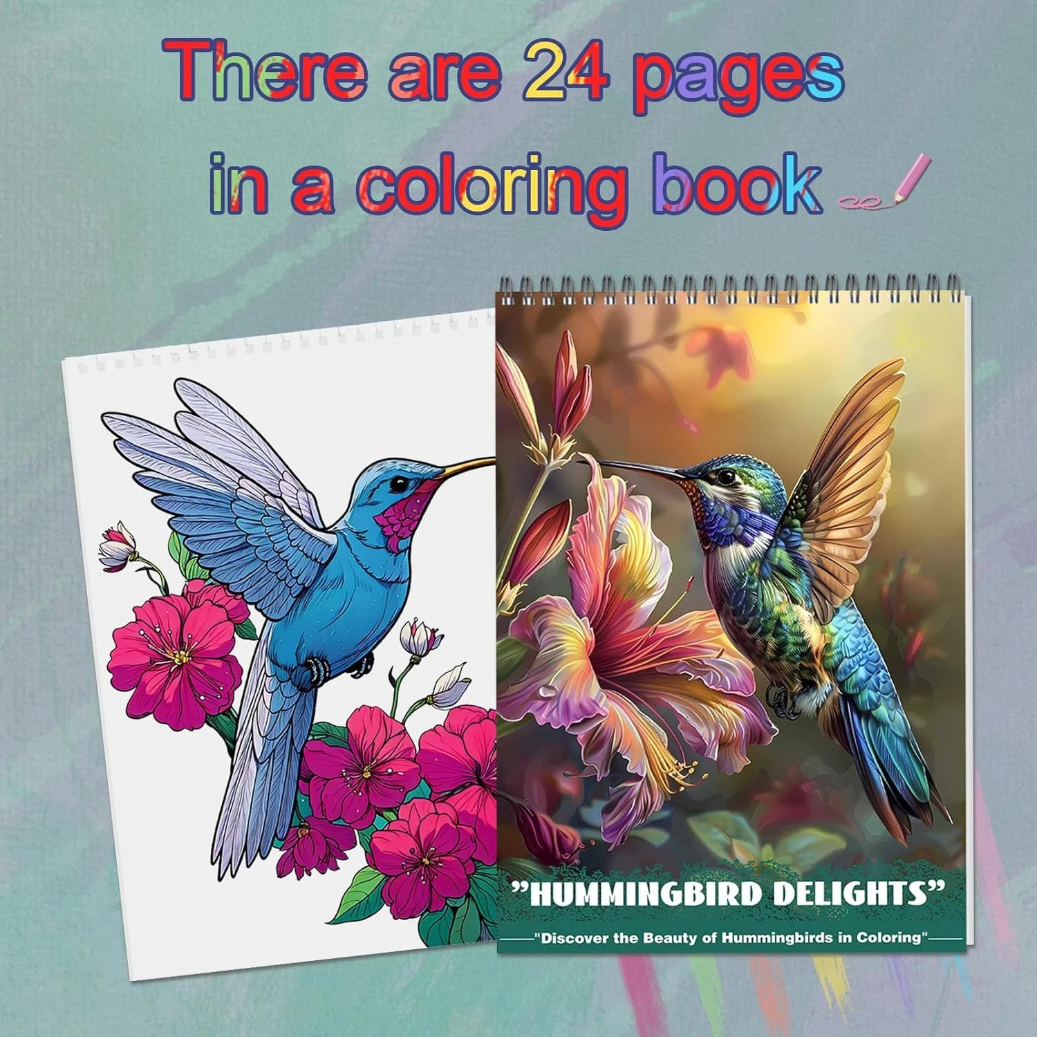 Humming Bird Adult Coloring Book Spiral Bound Mindfulness Adult Coloring Book.