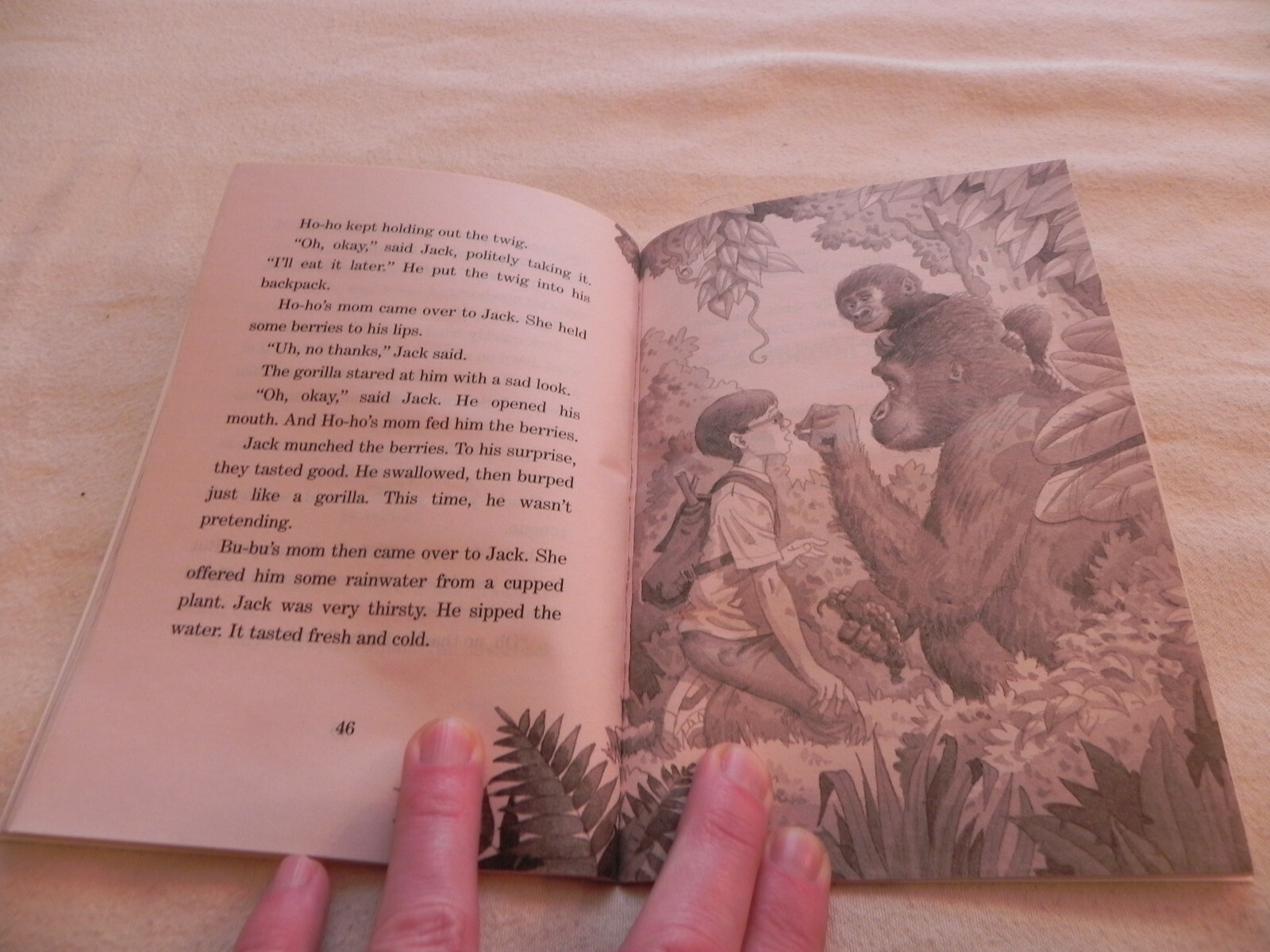 The Magic Tree House #26 Good Morning Gorillas By Mary Pope Osborne